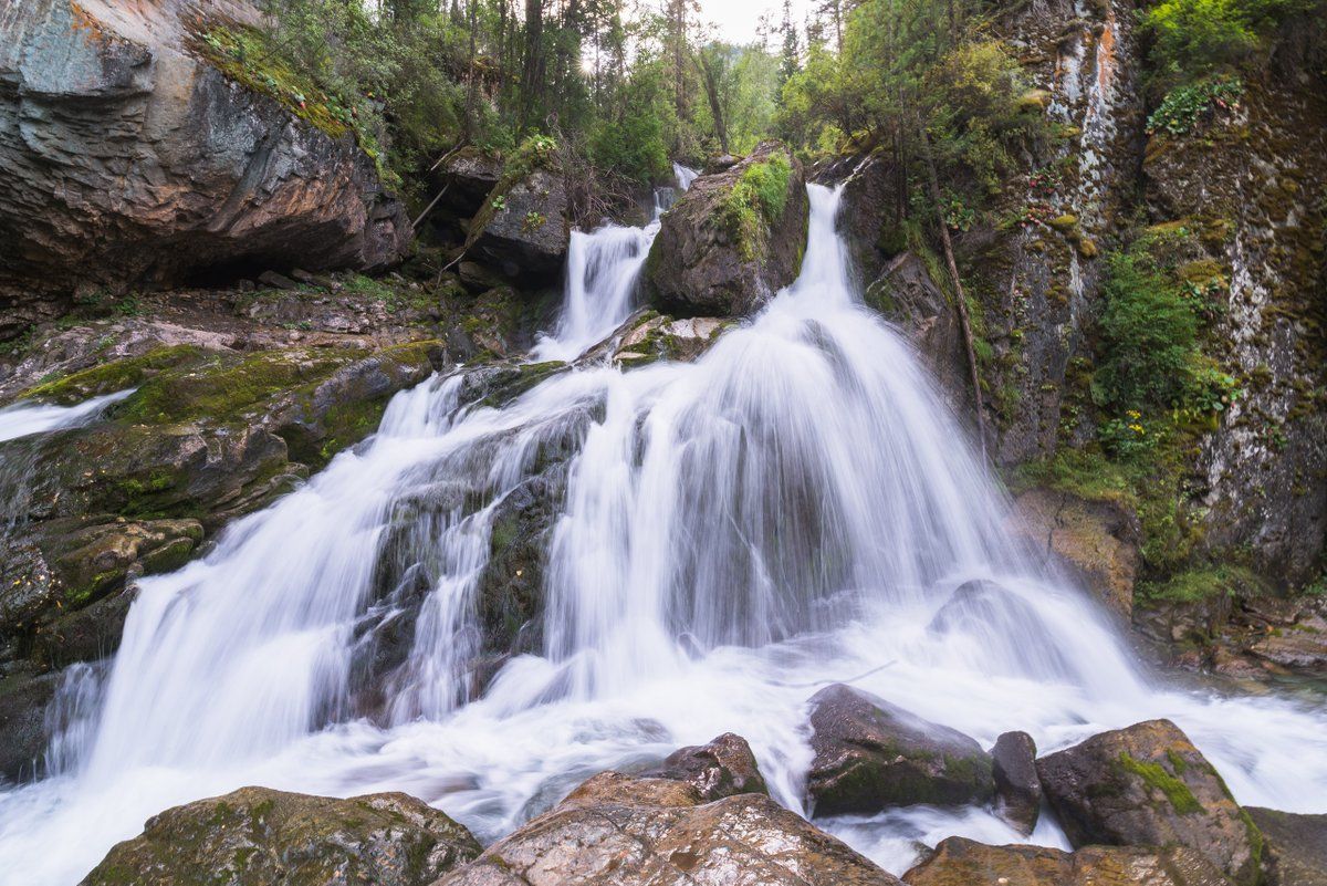 Лучшее На Алтае 2026. Легкий тур до Монголии по Чуйскому тракту! (36/58)