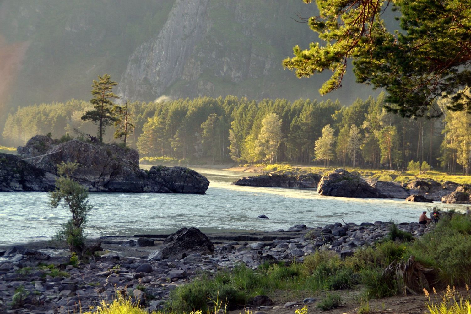 Лучшее На Алтае 2026. Легкий тур до Монголии по Чуйскому тракту! (32/58)