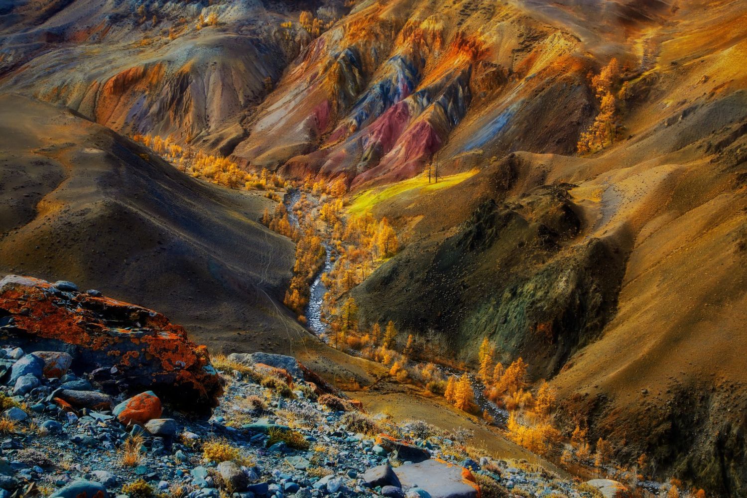 Лучшее На Алтае 2026. Легкий тур до Монголии по Чуйскому тракту! (29/58)