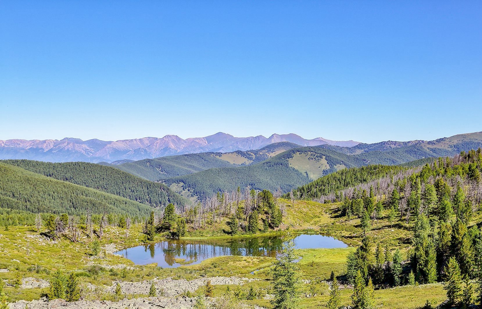 Конный тур к подножию легендарной горы Белуха (13/23)