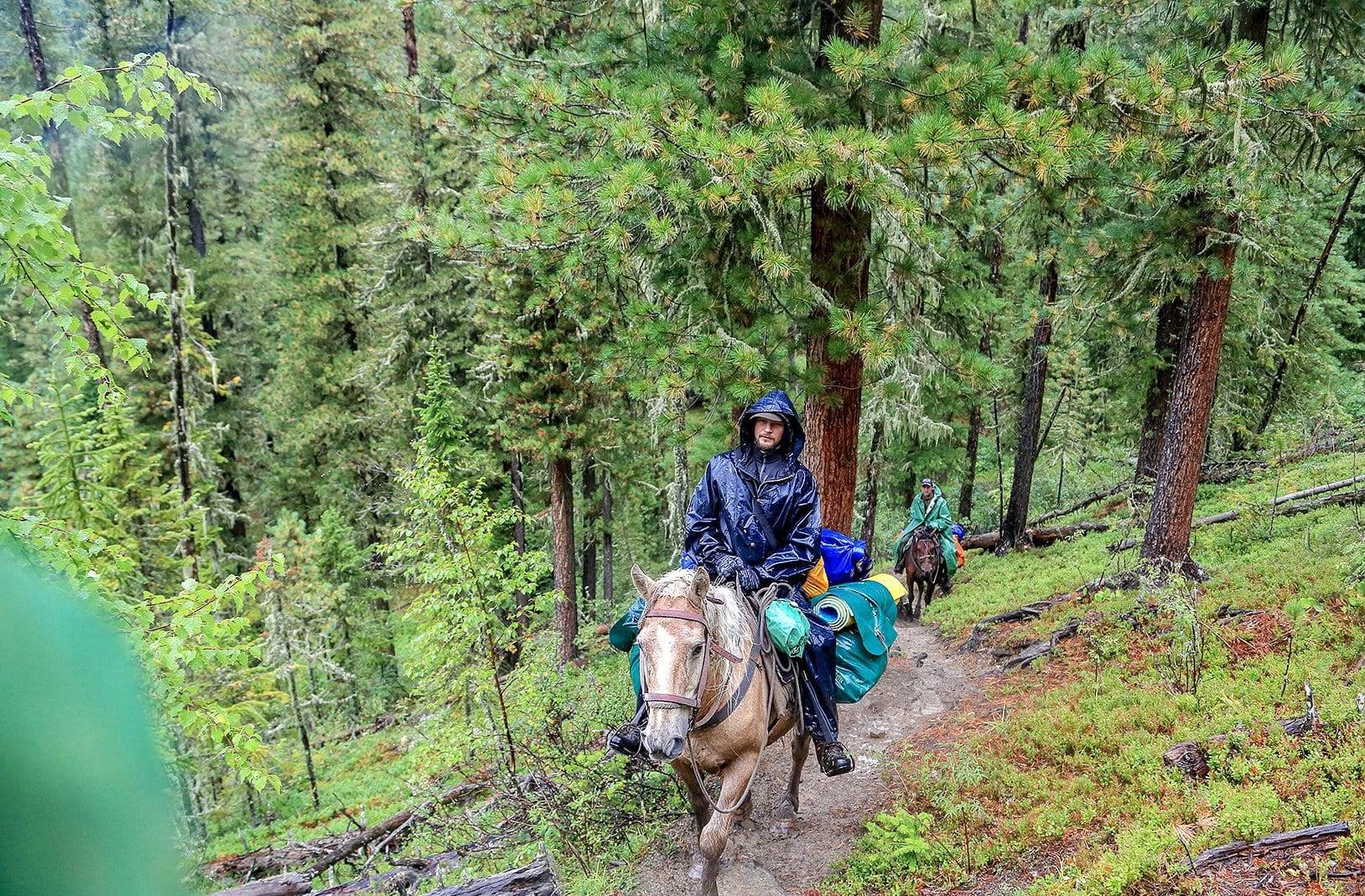 Конный тур к подножию легендарной горы Белуха (7/23)