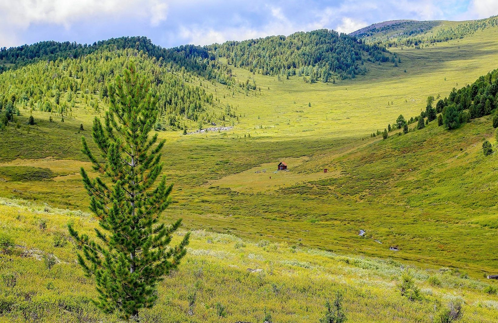 Конный тур к подножию легендарной горы Белуха (11/23)