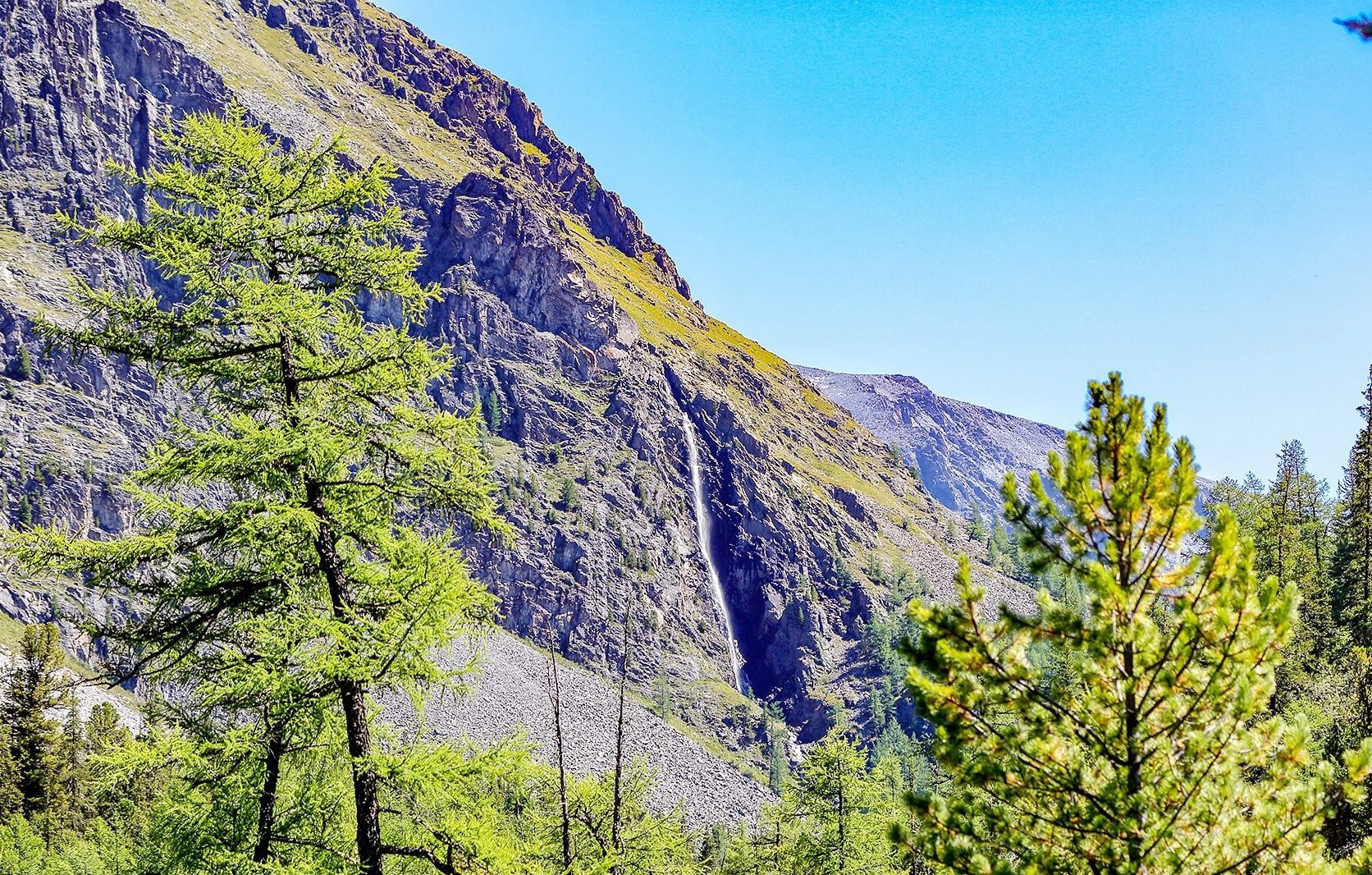 Конный тур к подножию легендарной горы Белуха (14/23)