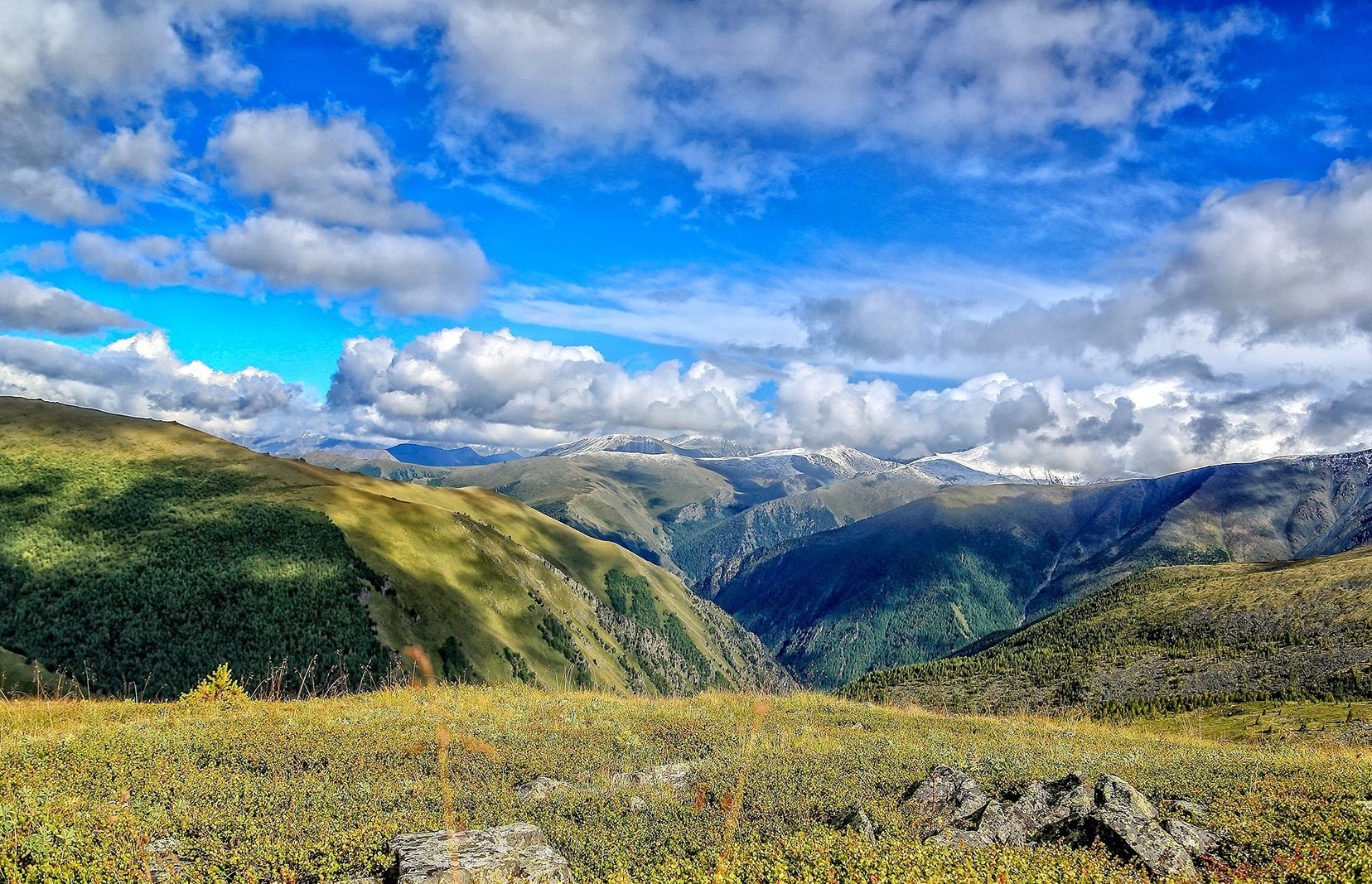 Конный тур к подножию легендарной горы Белуха (10/23)