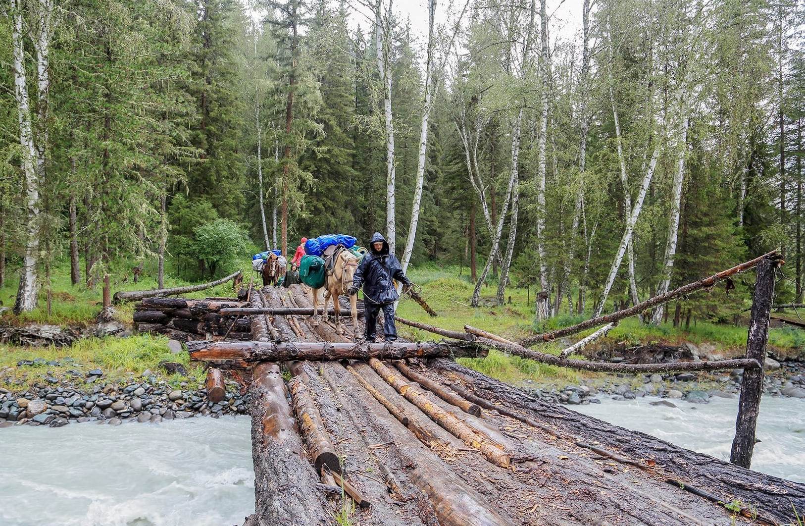 Конный тур к подножию легендарной горы Белуха (6/23)