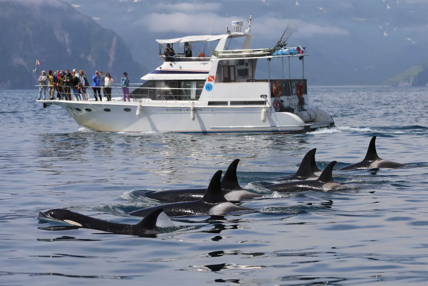 2026 Киты, Вулканы, Медведи, Баня на Берегу Океана. Вау! (7/45)