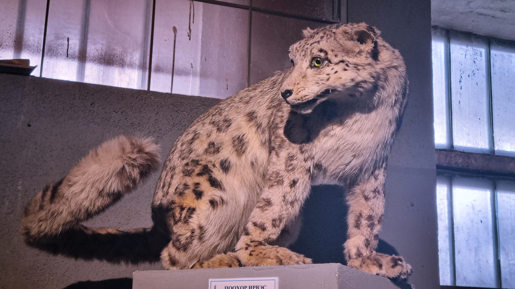 По Следам Чингисхана эксклюзивный маршрут (26/75)