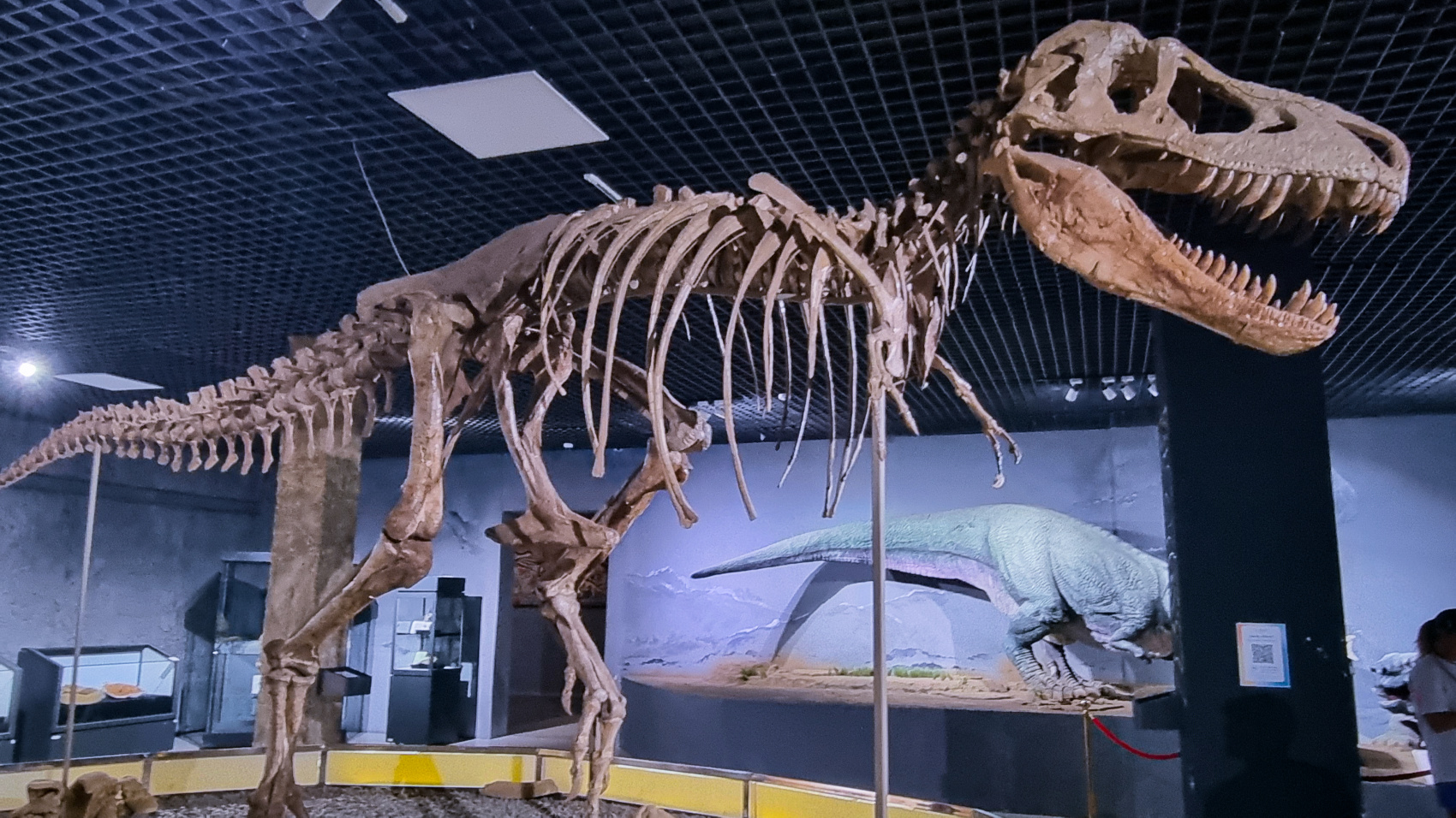 По Следам Чингисхана эксклюзивный маршрут (28/75)