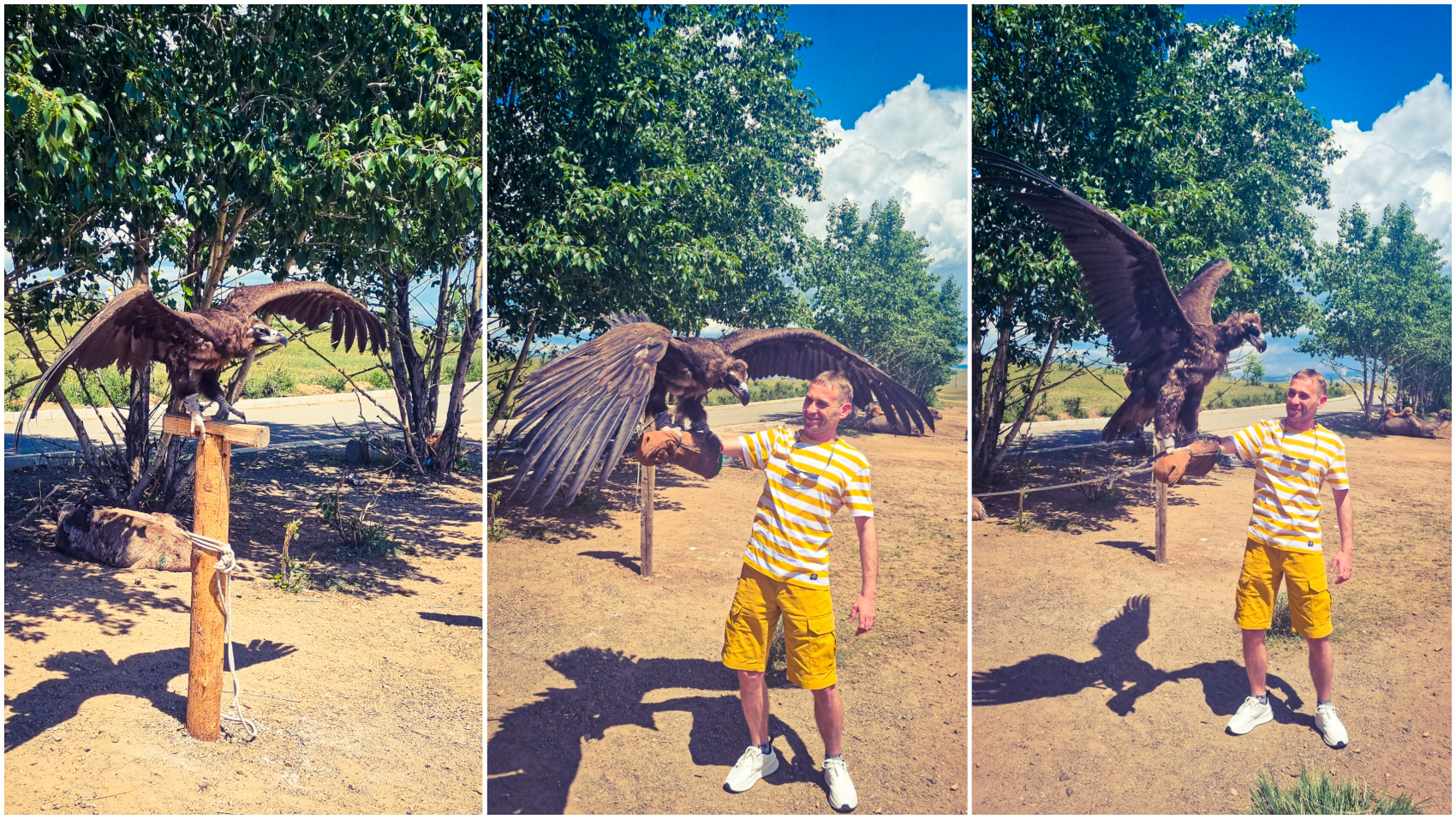 По Следам Чингисхана эксклюзивный маршрут (16/75)