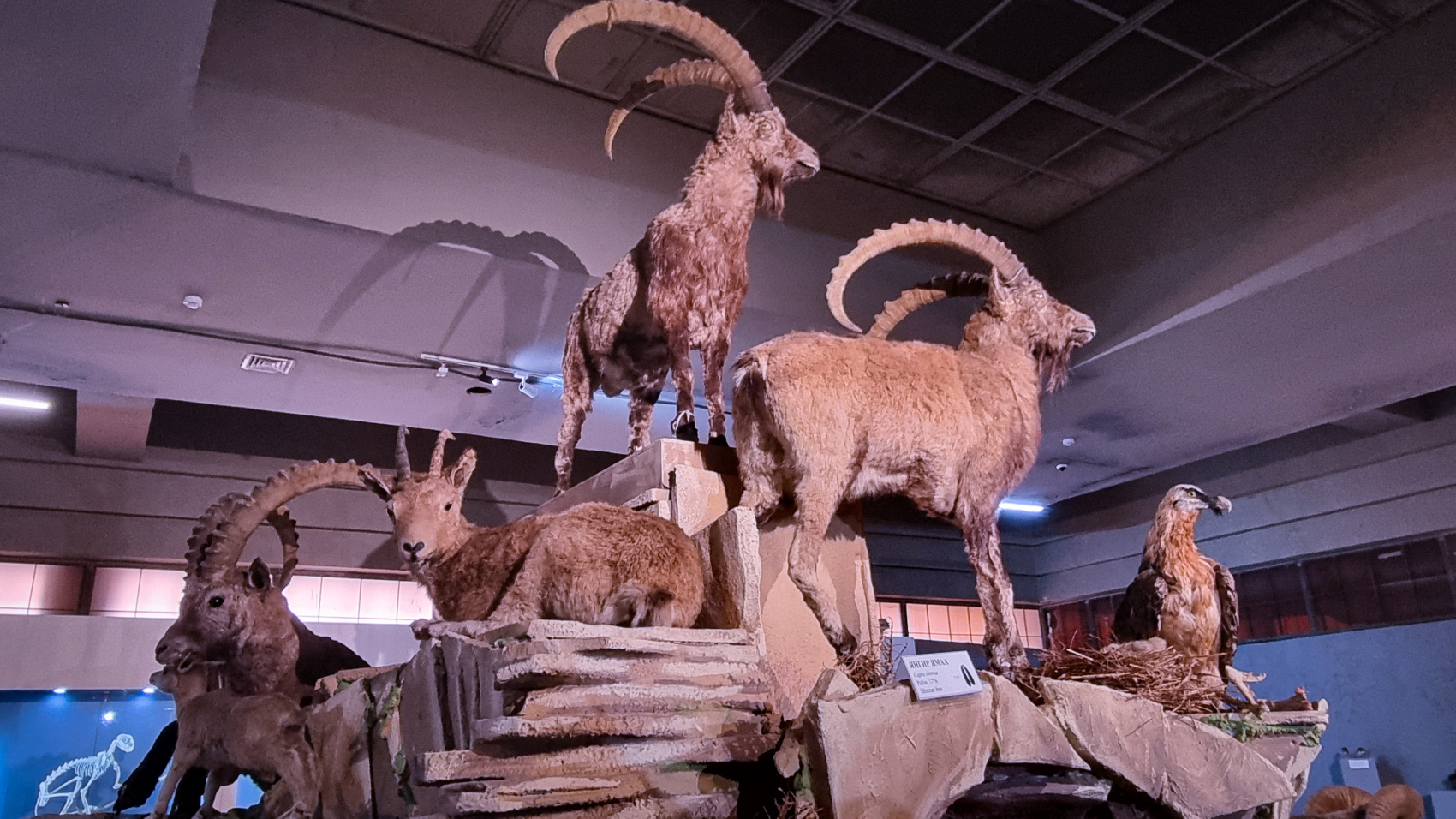 По Следам Чингисхана эксклюзивный маршрут (27/75)