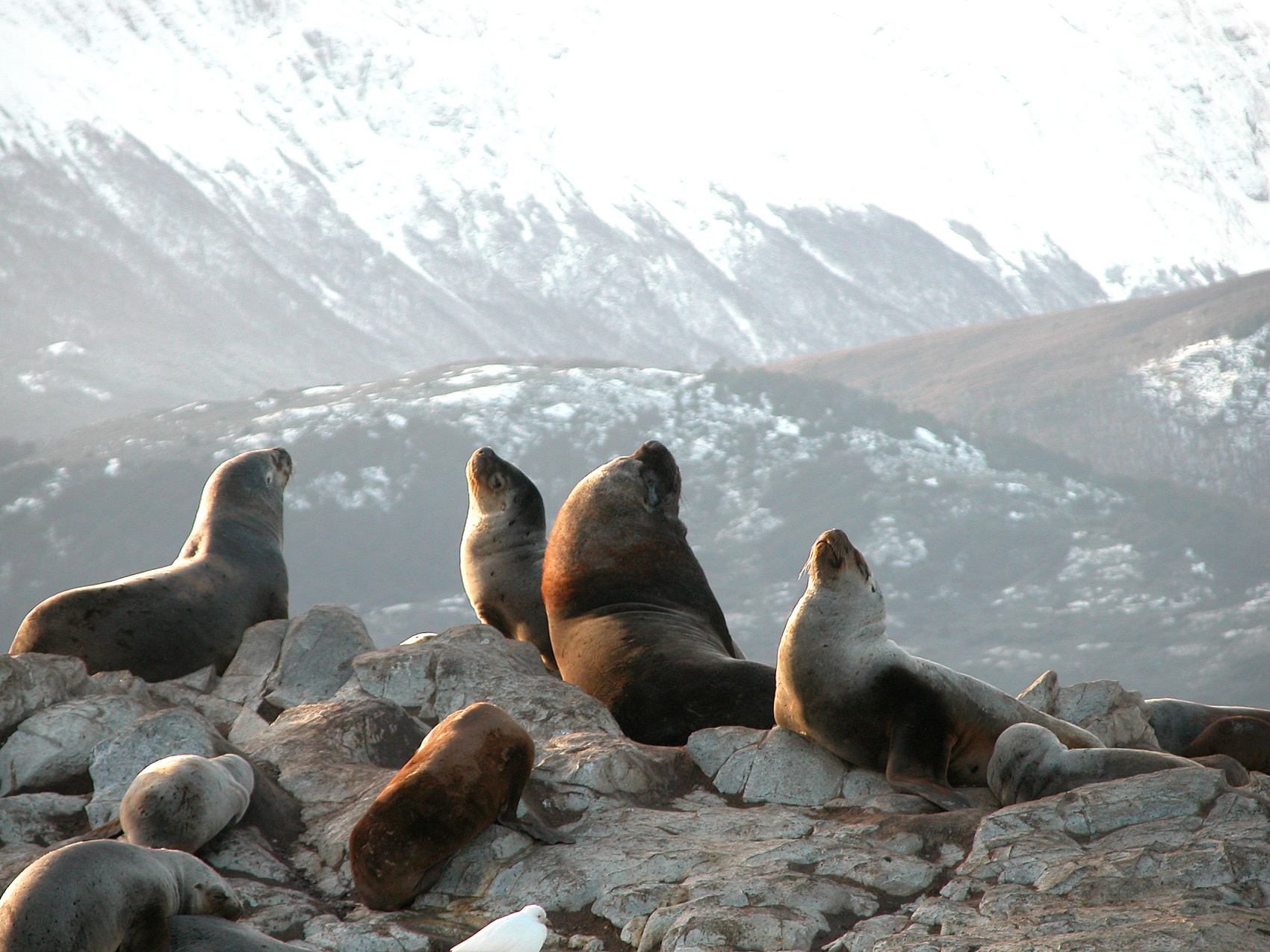 АРГЕНТИНА: САМОЕ ГЛАВНОЕ ЮГА - 9 ДНЕЙ   (2/7)