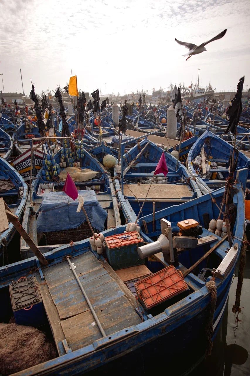 Кругосветка: От Сахары (2 ночи) до Атлантики (2 ночи) (71/146)