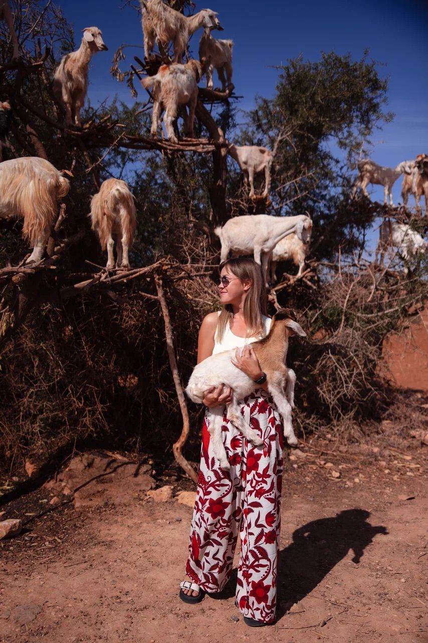 Кругосветка: От Сахары (2 ночи) до Атлантики (2 ночи) (67/146)