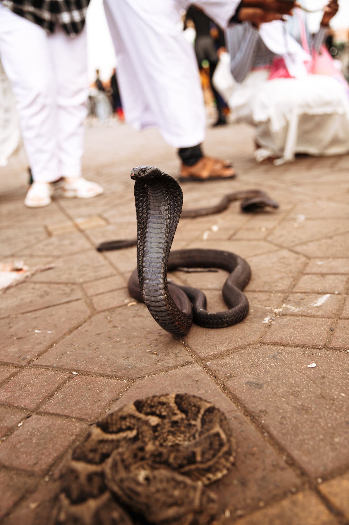 Кругосветка: От Сахары (2 ночи) до Атлантики (2 ночи) (102/146)