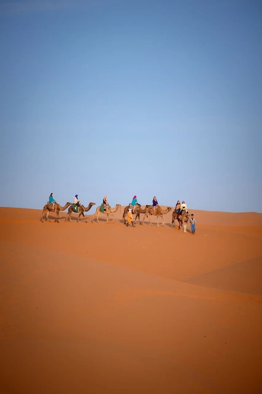 Кругосветка: От Сахары (2 ночи) до Атлантики (2 ночи) (48/146)