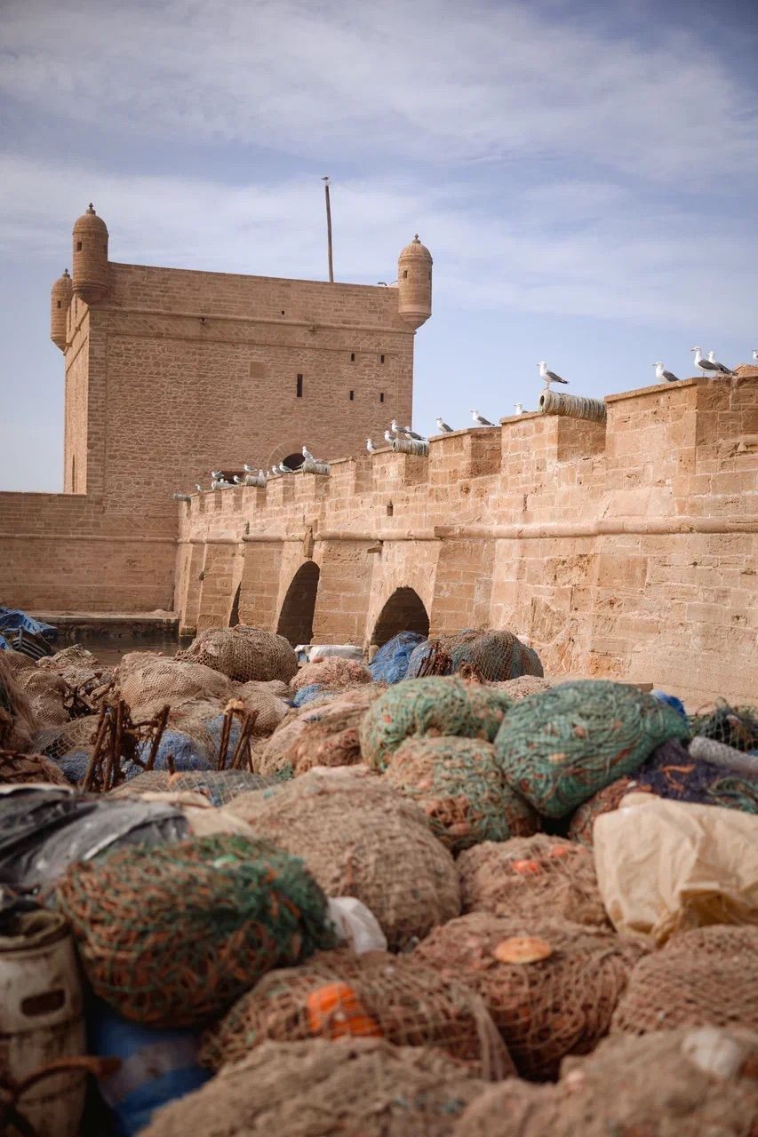 Кругосветка: От Сахары (2 ночи) до Атлантики (2 ночи) (73/146)