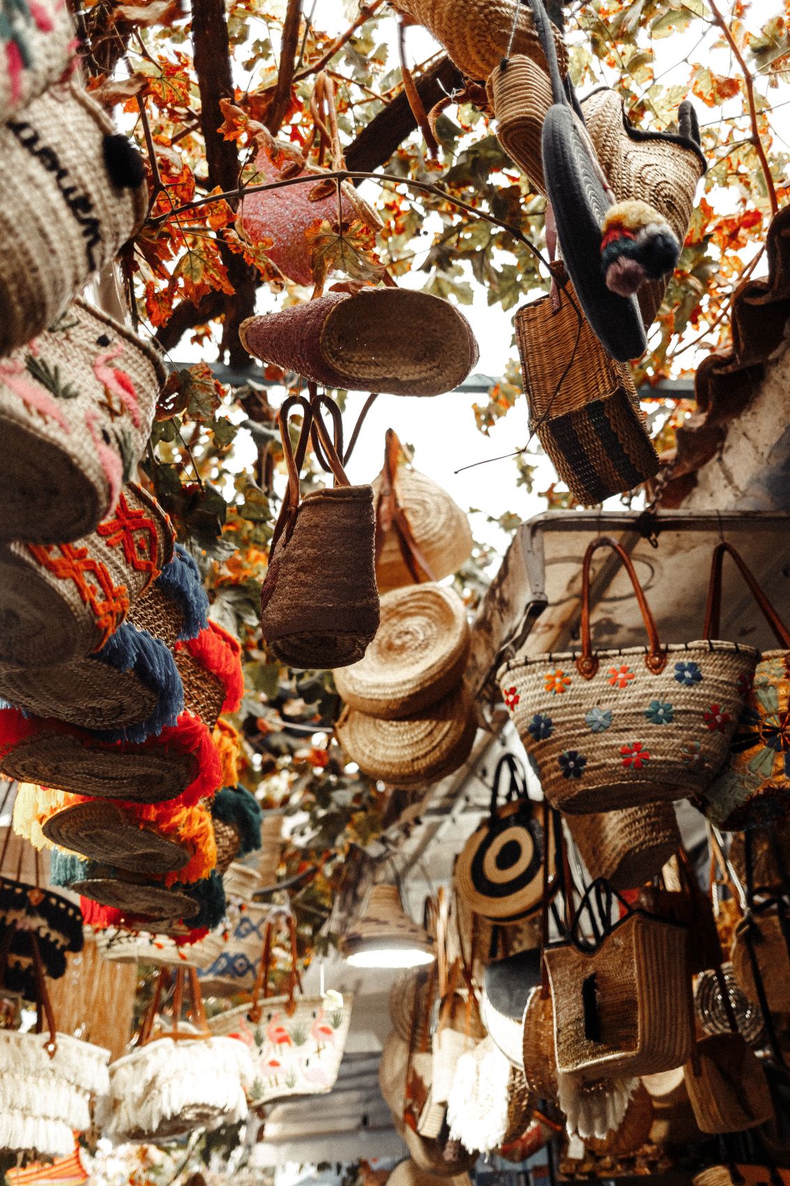 Кругосветка: От Сахары (2 ночи) до Атлантики (2 ночи) (83/146)