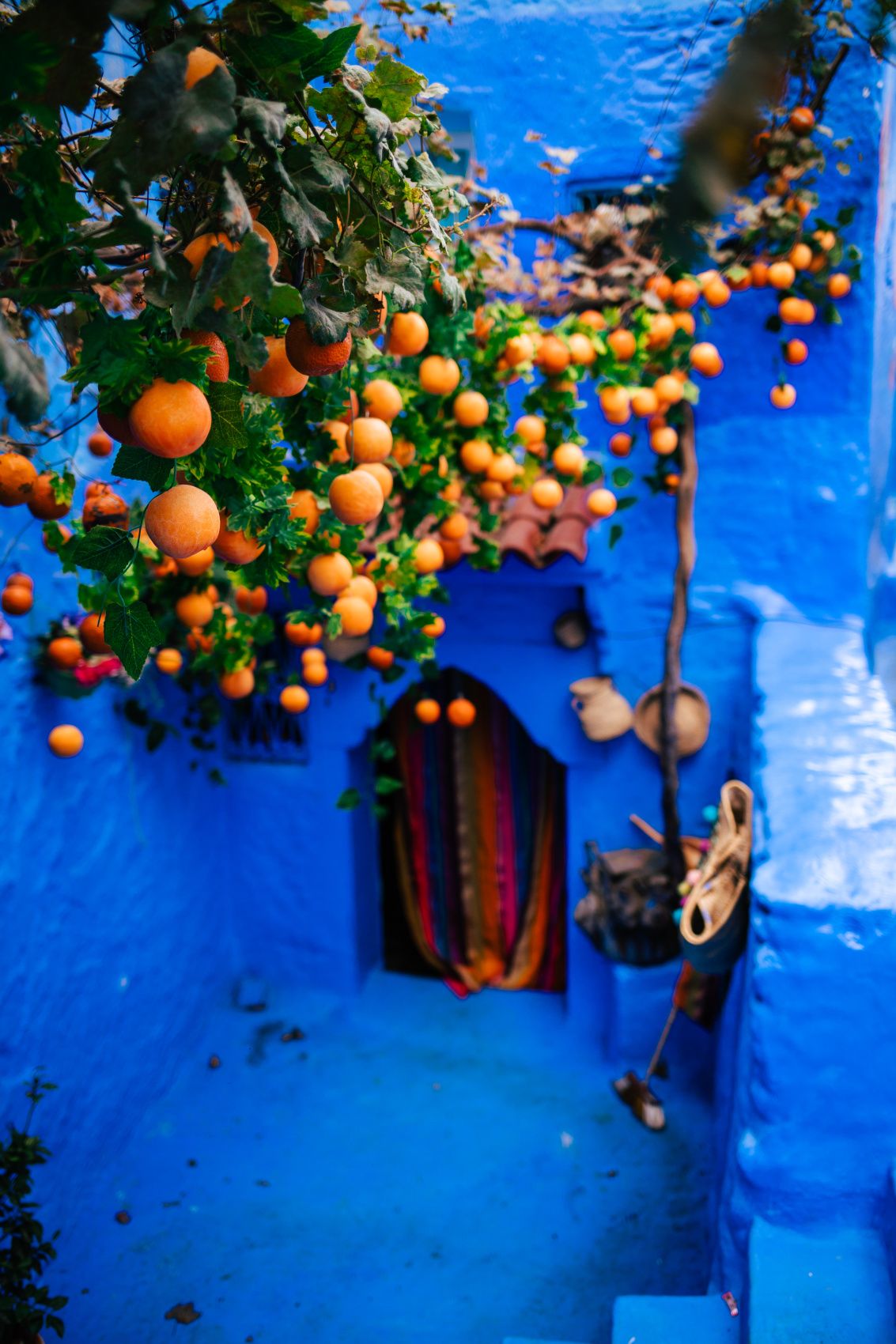 Кругосветка: От Сахары (2 ночи) до Атлантики (2 ночи) (85/146)