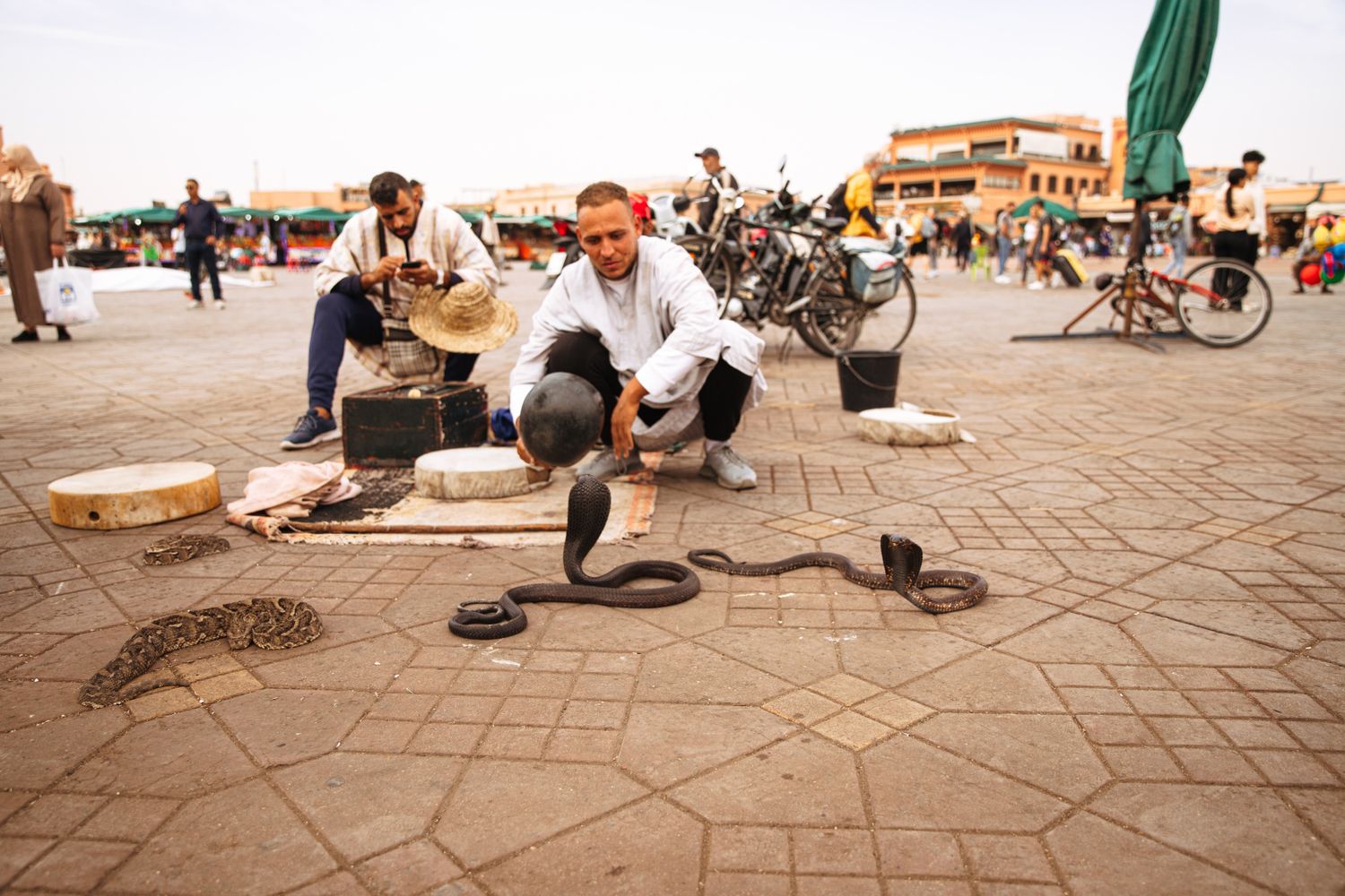 Кругосветка: От Сахары (2 ночи) до Атлантики (2 ночи) (101/146)