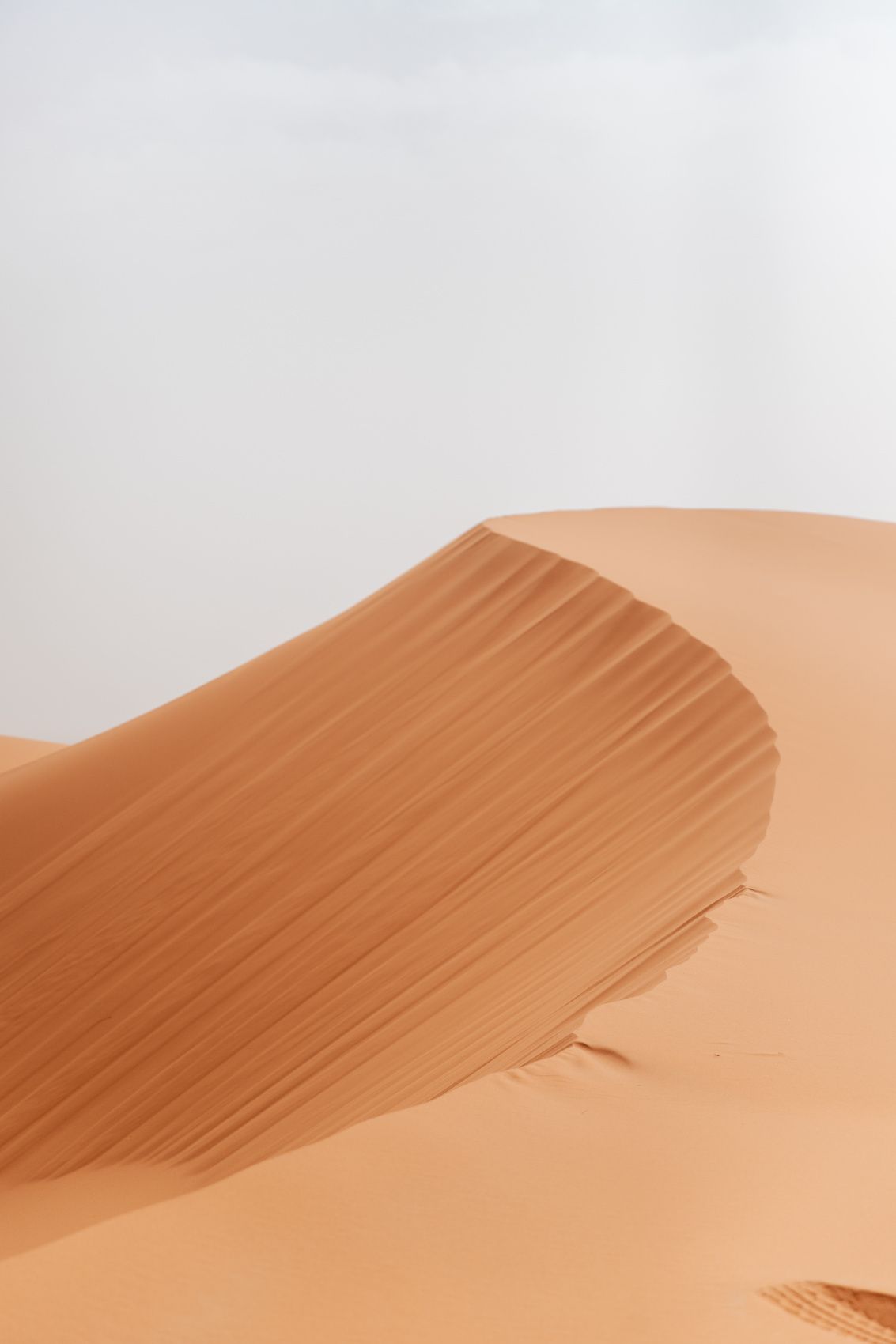 Кругосветка: От Сахары (2 ночи) до Атлантики (2 ночи) (87/146)