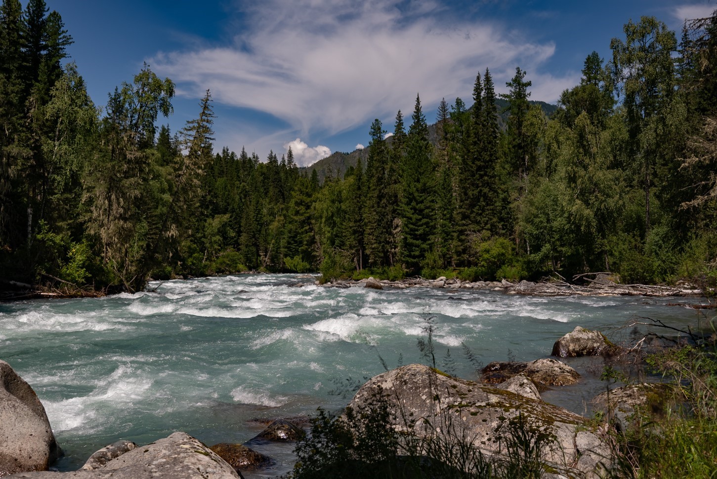 Пеший поход к Белухе с вьючными лошадьми (3/50)