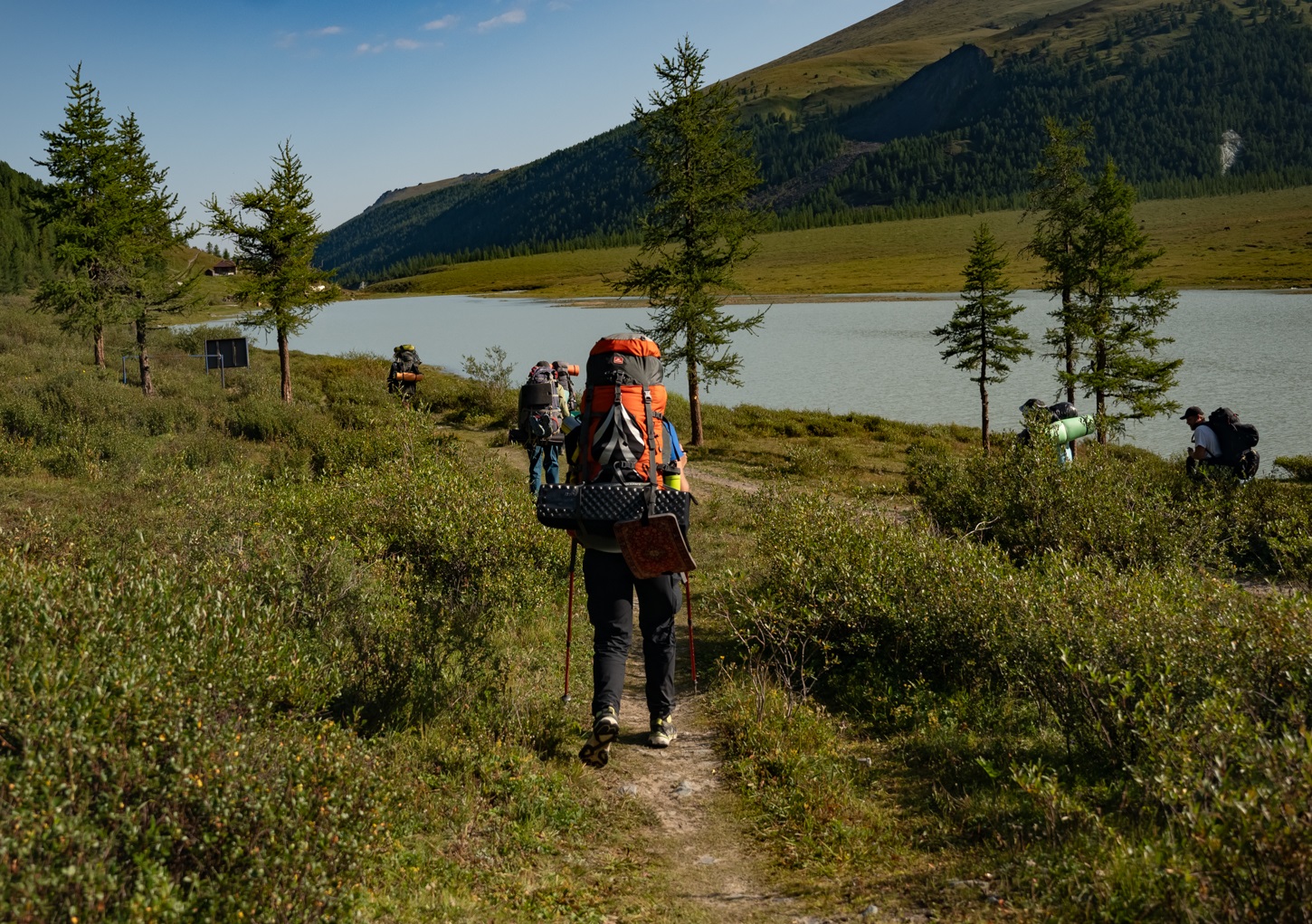 Пеший поход к Белухе с вьючными лошадьми (20/50)