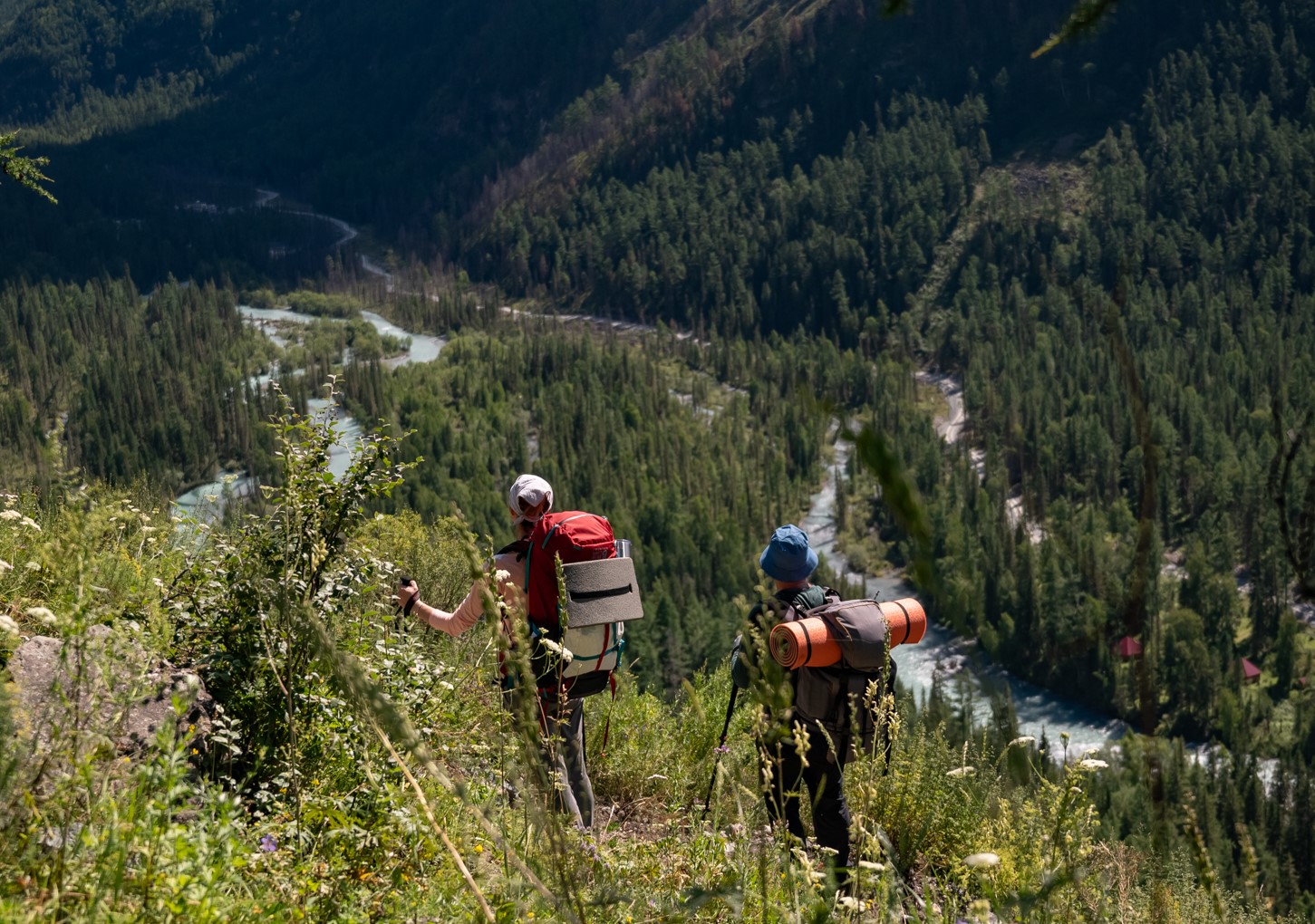 Пеший поход к Белухе с вьючными лошадьми (4/50)