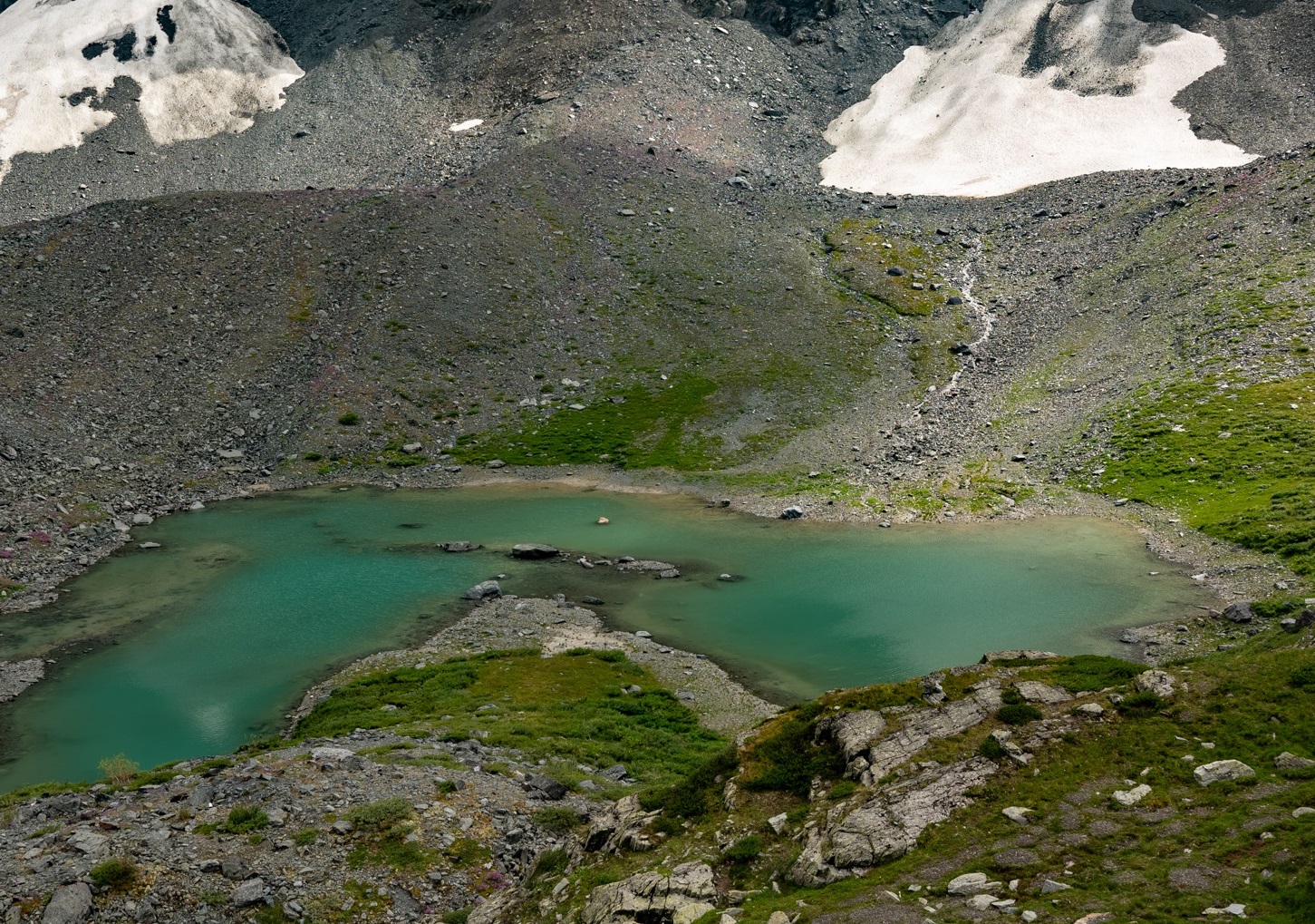 Пеший поход к Белухе с вьючными лошадьми (14/50)