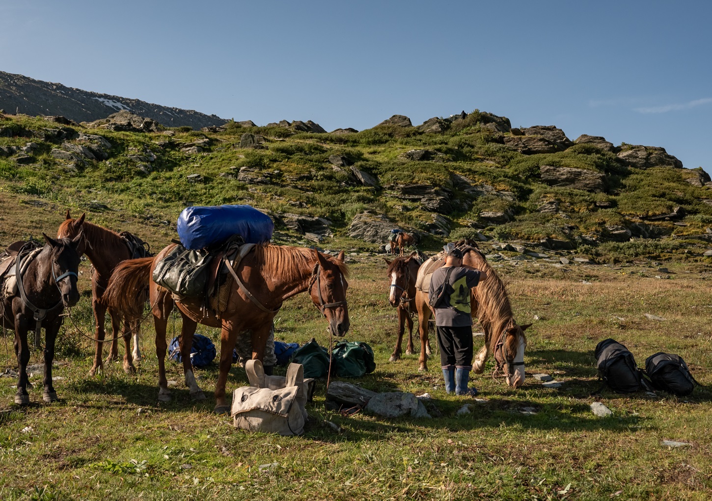 Пеший поход к Белухе с вьючными лошадьми (8/50)