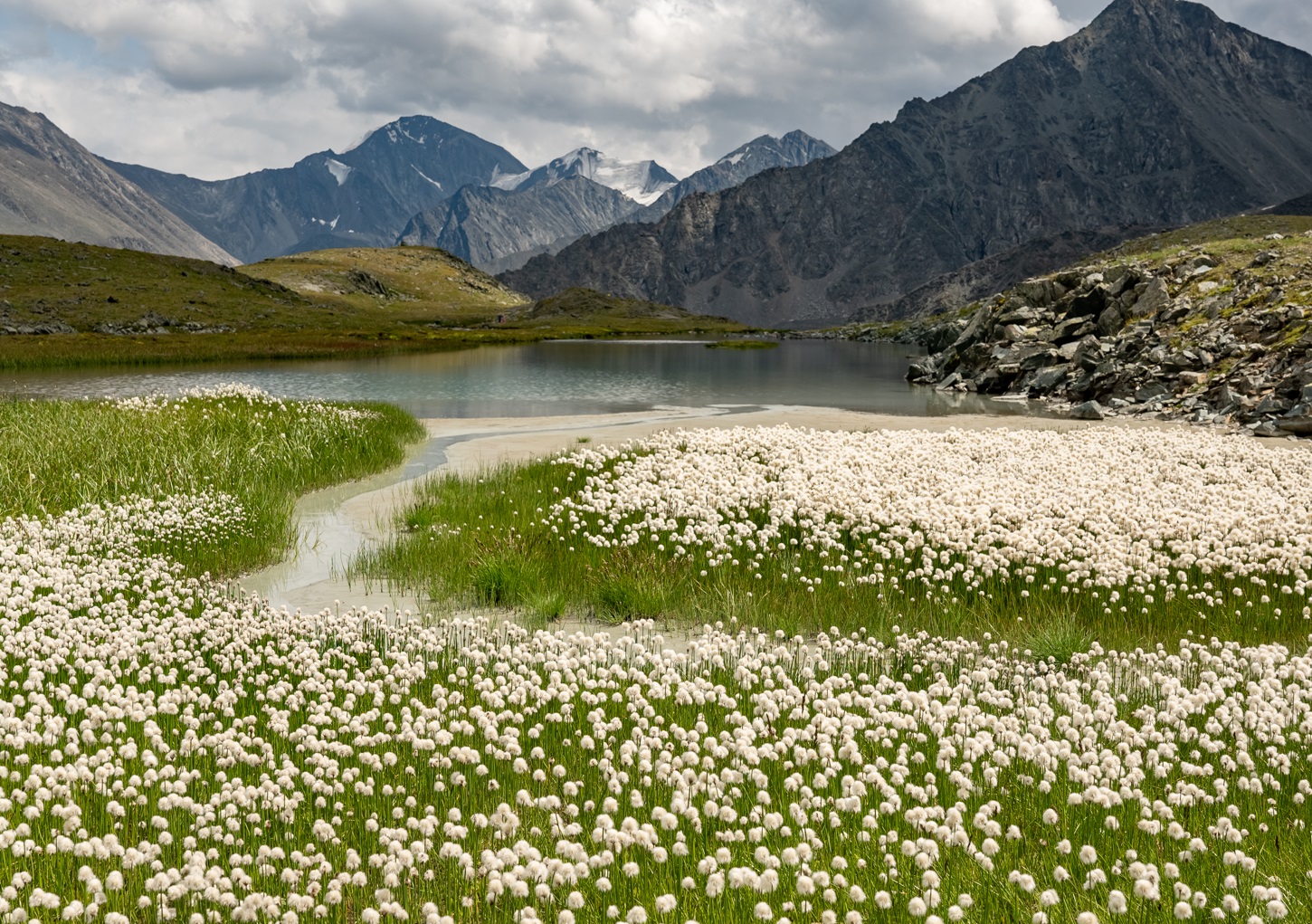Пеший поход к Белухе с вьючными лошадьми (13/50)