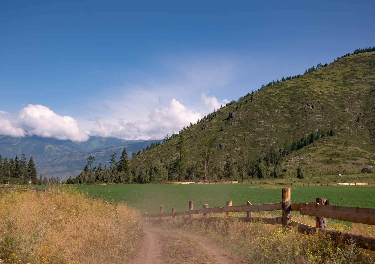 Пеший поход к Белухе с вьючными лошадьми (5/50)