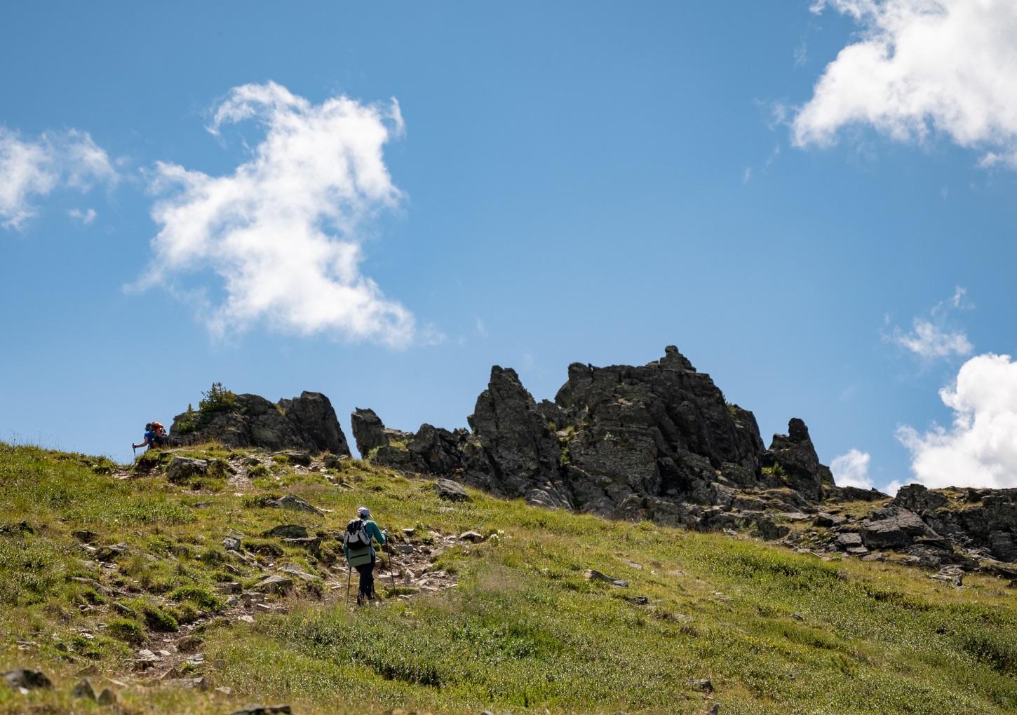 Пеший поход к Белухе с вьючными лошадьми (6/50)