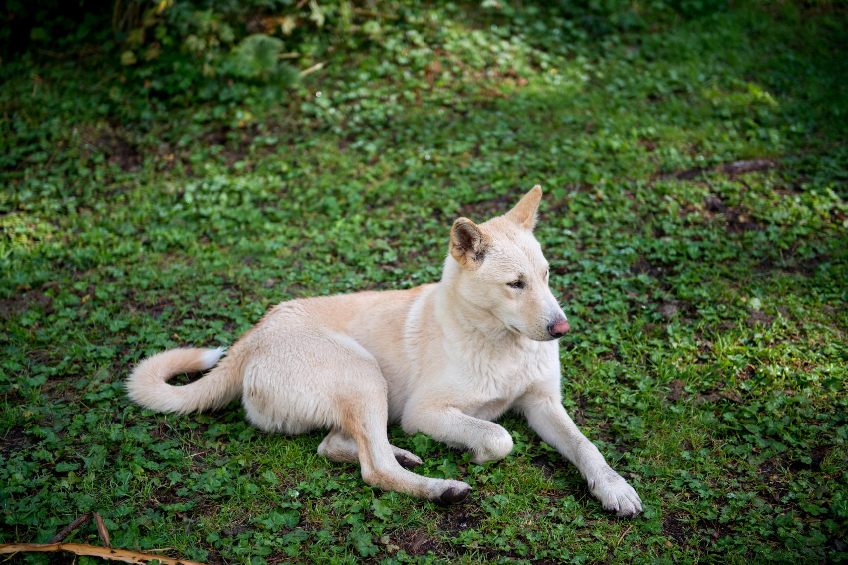 Пеший тур к Шавлинским озерам (2/20)