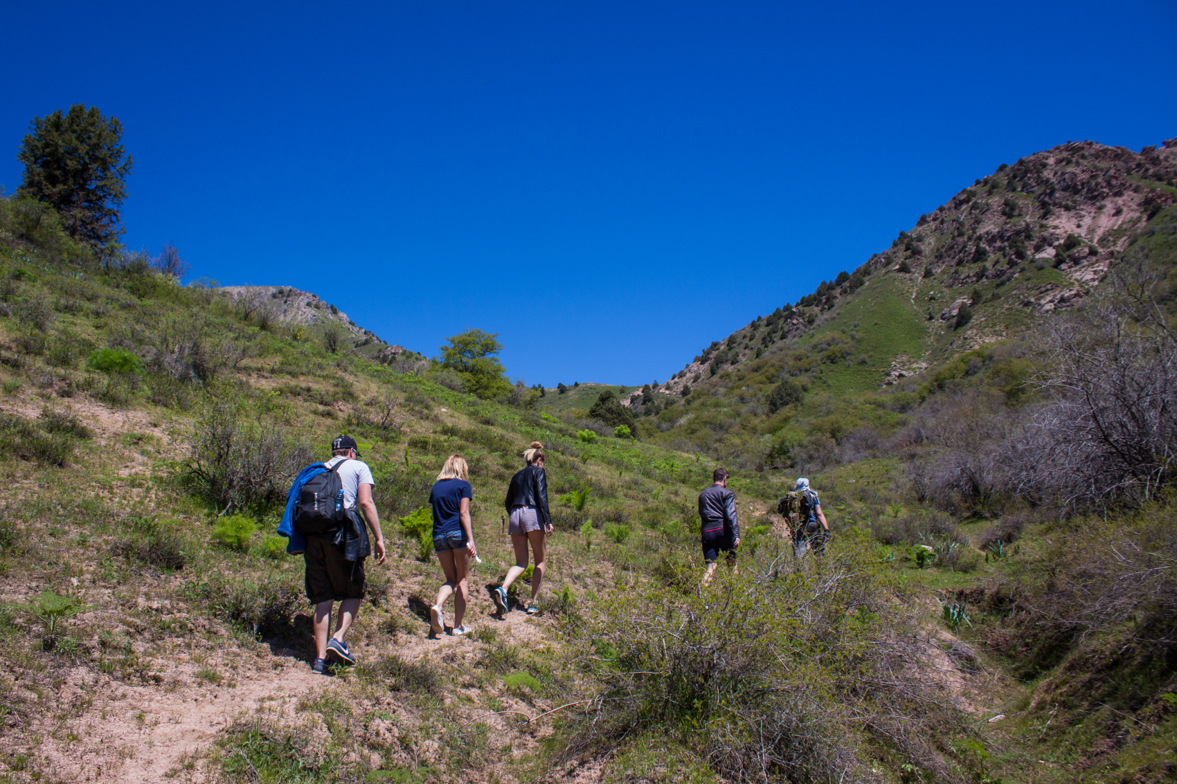 Сказочные города и горы Узбекистана (41/49)
