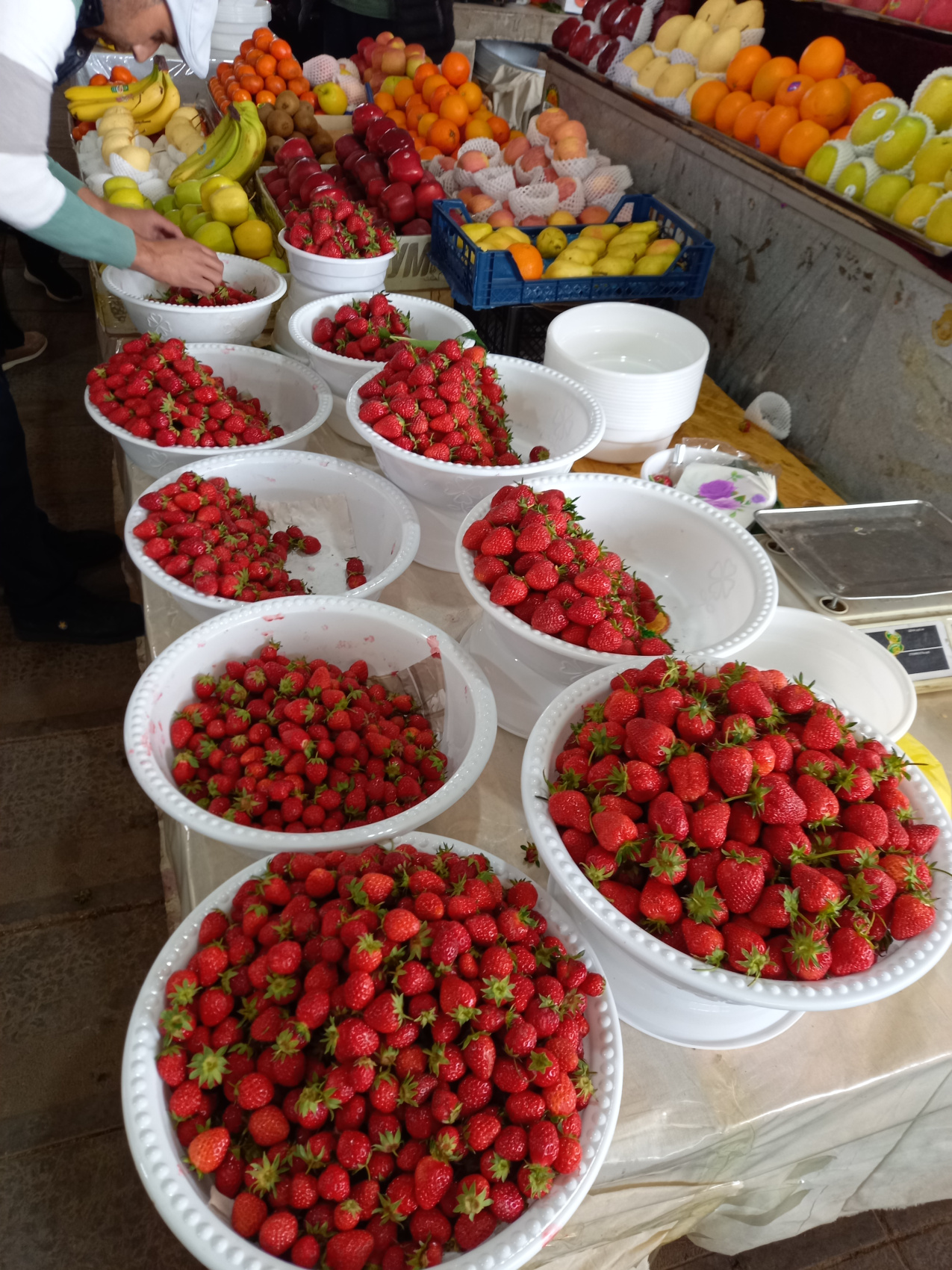 Все красоты Узбекистана за 7 дней (4/47)