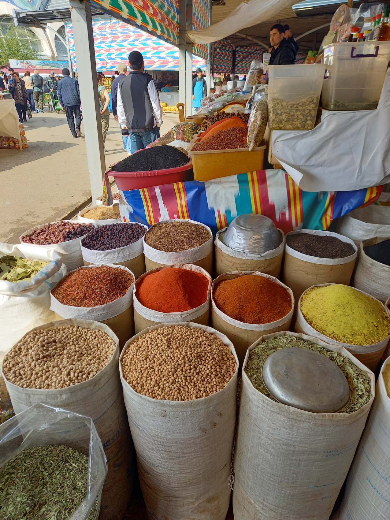 Все красоты Узбекистана за 7 дней (5/47)