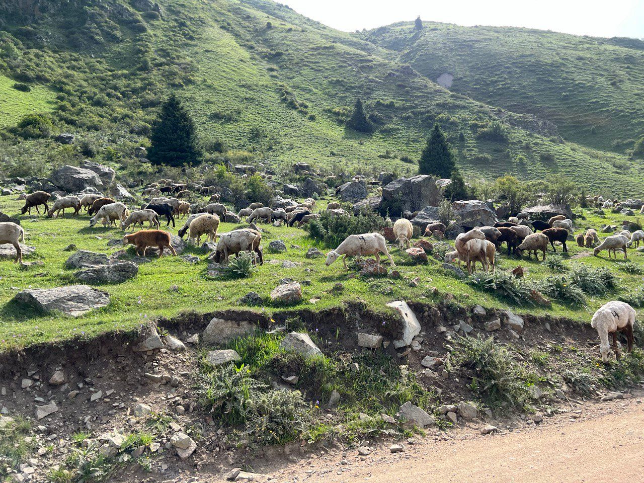 Кыргызстан: страна небесных гор. 7 дней (8/37)