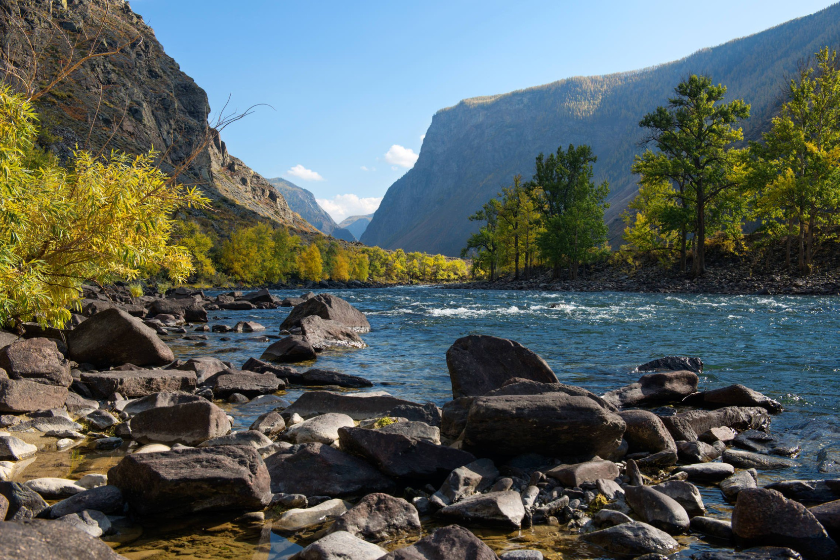 Кругосветка По Алтаю - 10 дней! 2026 Шаман-Кайчи, Телецкое, Чемал, травница! (61/94)