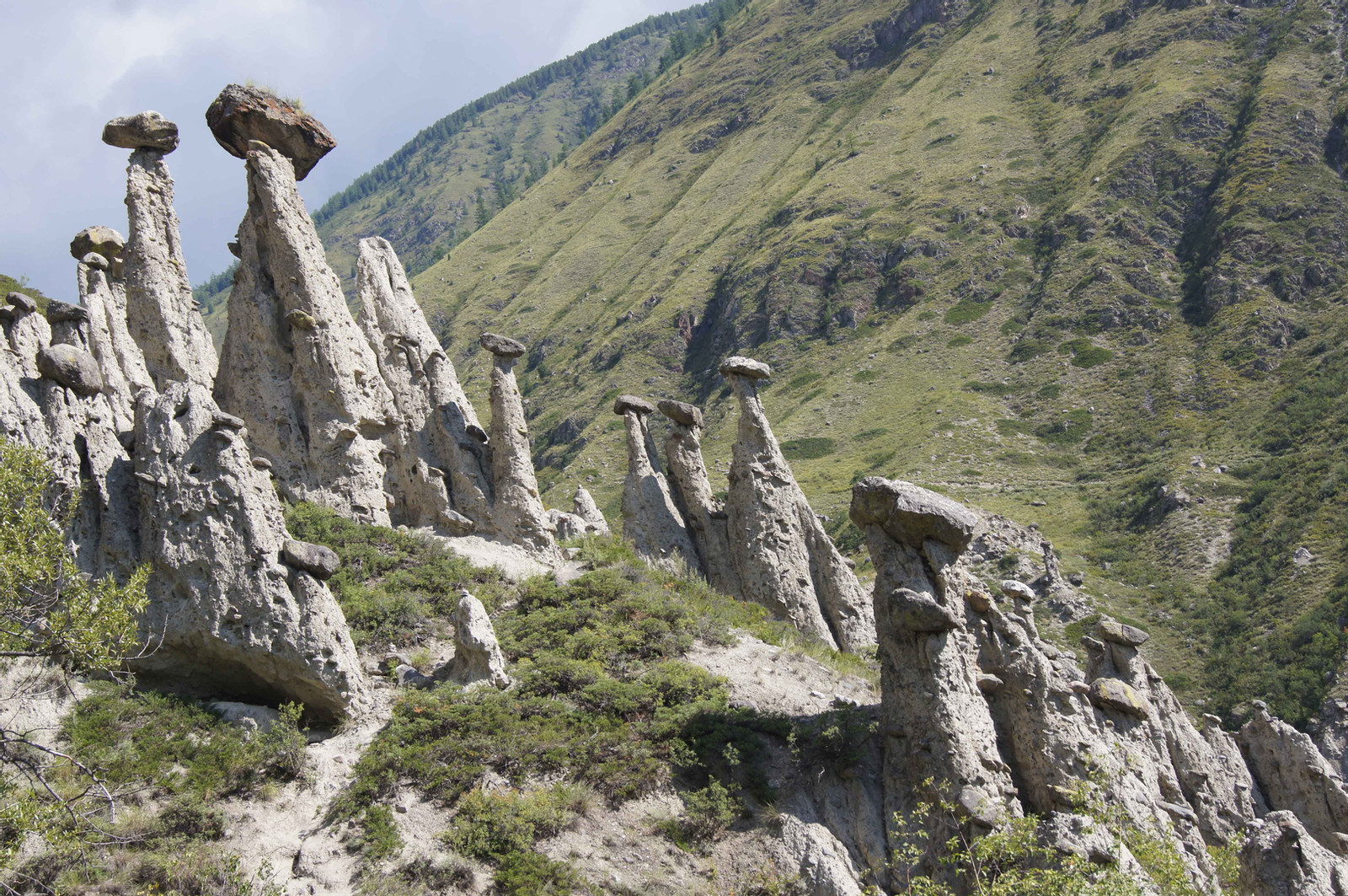 Кругосветка По Алтаю - 10 дней! 2026 Шаман-Кайчи, Телецкое, Чемал, травница! (40/94)