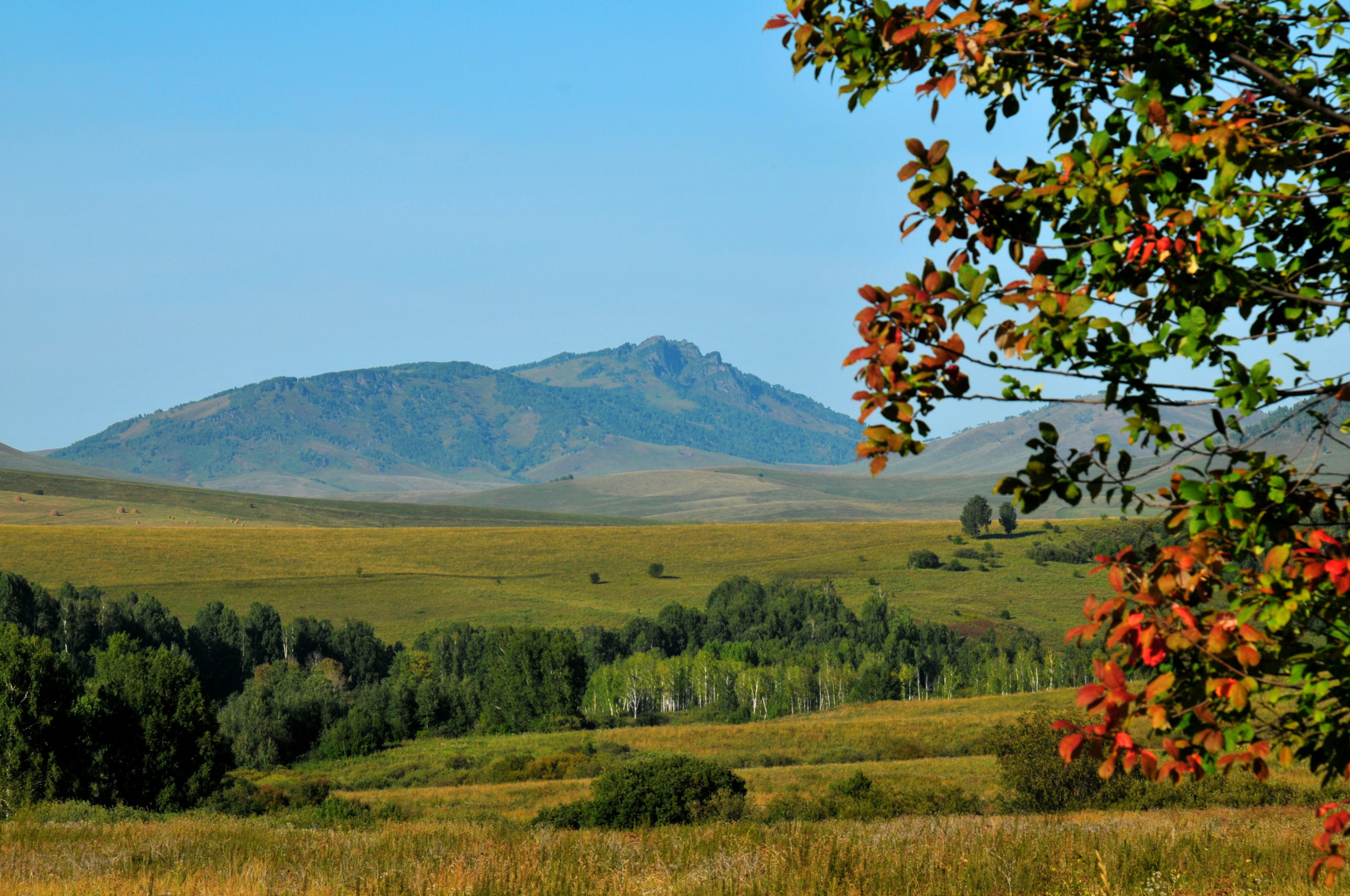 Кругосветка По Алтаю - 10 дней! 2026 Шаман-Кайчи, Телецкое, Чемал, травница! (57/94)