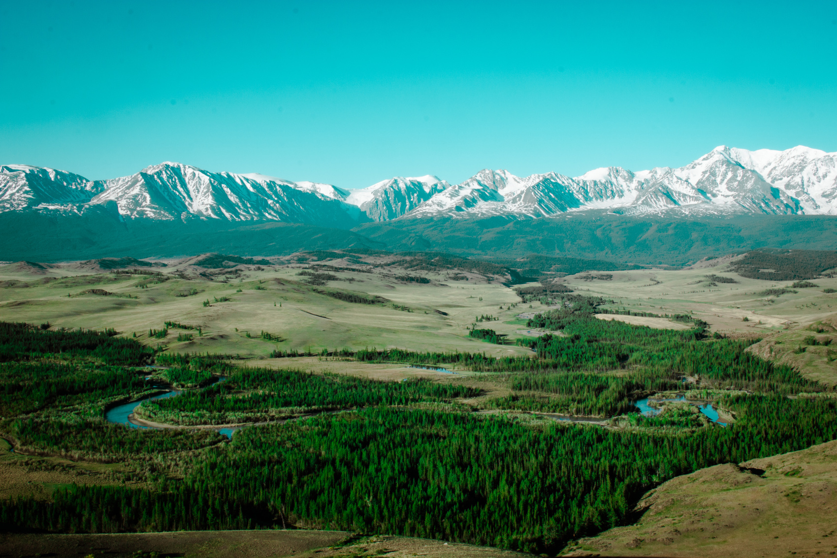 Кругосветка По Алтаю - 10 дней! 2026 Шаман-Кайчи, Телецкое, Чемал, травница! (52/94)