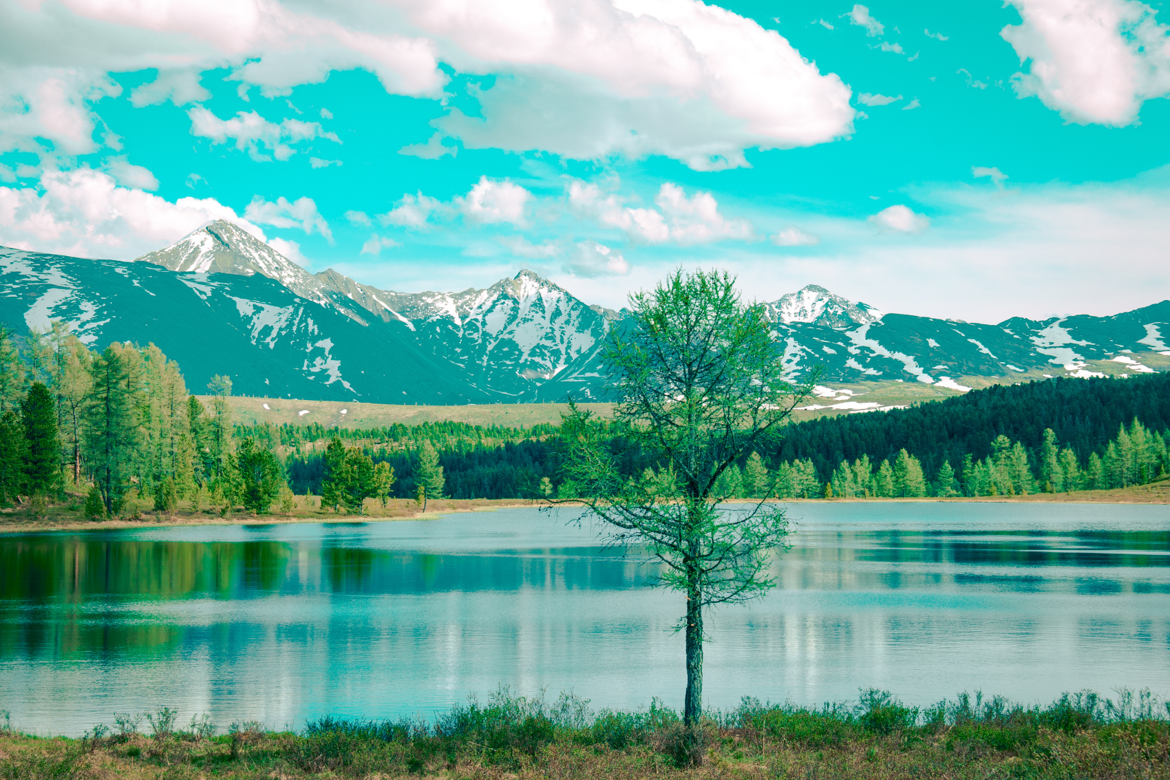 Кругосветка По Алтаю - 10 дней! 2026 Шаман-Кайчи, Телецкое, Чемал, травница! (12/94)