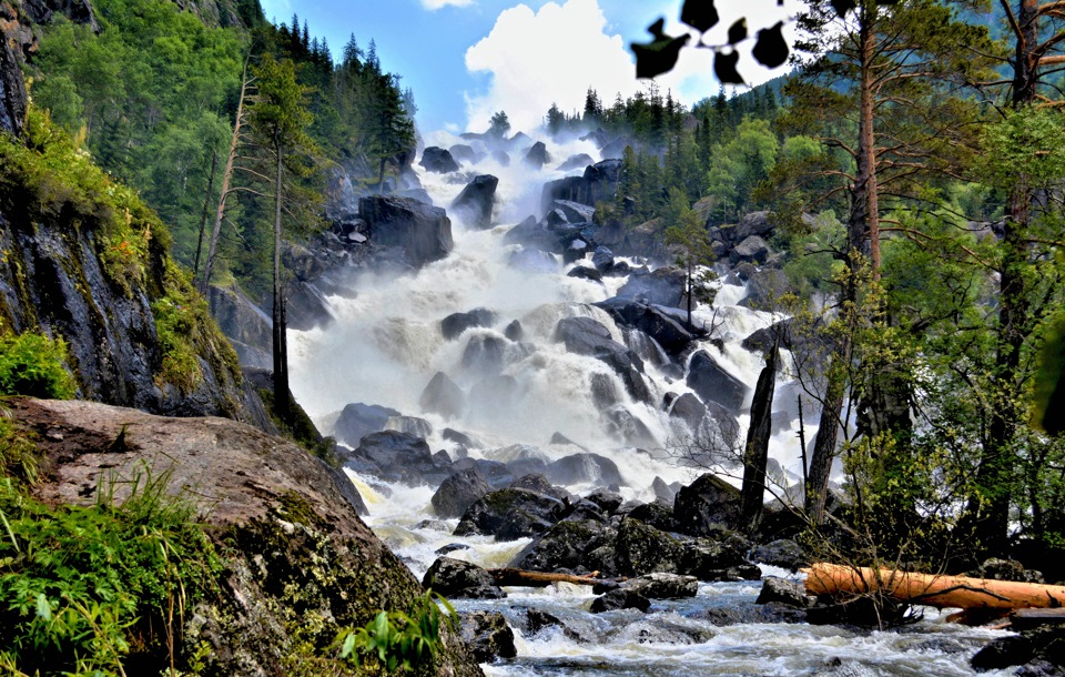 Кругосветка По Алтаю - 10 дней! 2026 Шаман-Кайчи, Телецкое, Чемал, травница! (23/94)