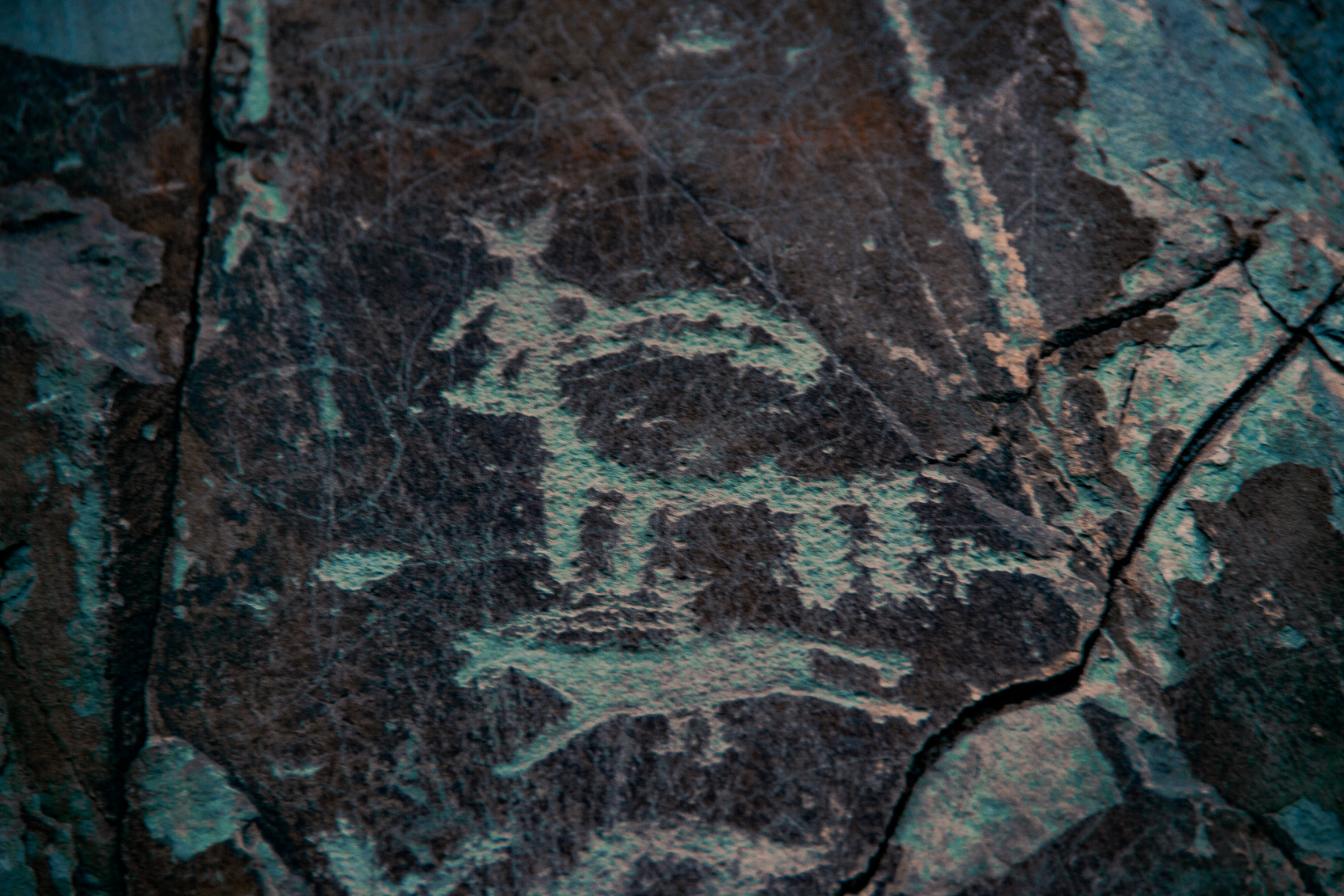 Кругосветка По Алтаю - 10 дней! 2026 Шаман-Кайчи, Телецкое, Чемал, травница! (13/94)