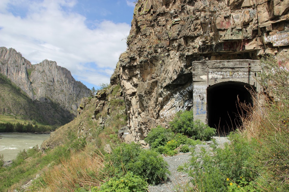 Кругосветка По Алтаю - 10 дней! 2026 Шаман-Кайчи, Телецкое, Чемал, травница! (51/94)