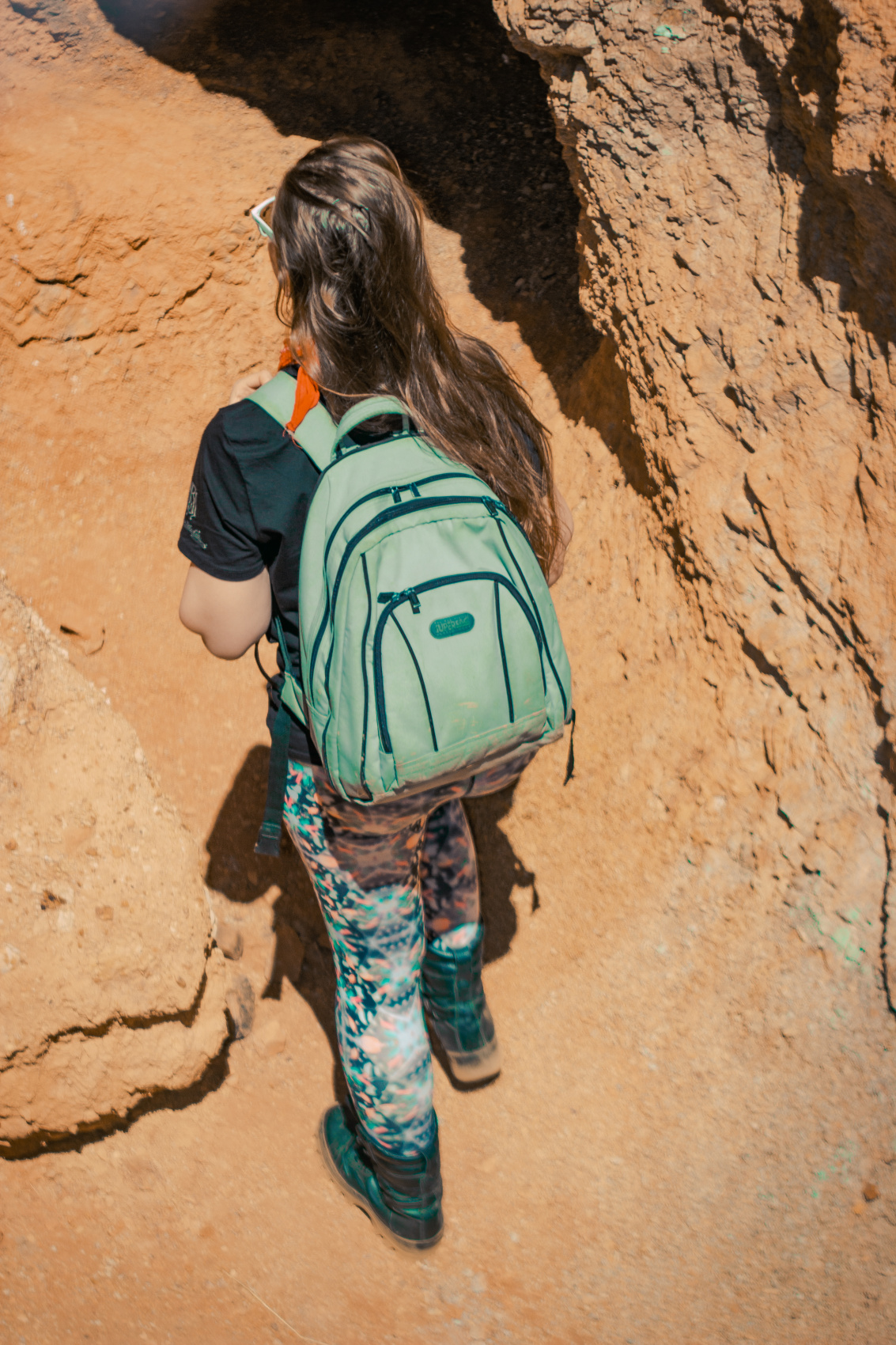 Кругосветка По Алтаю - 10 дней! 2026 Шаман-Кайчи, Телецкое, Чемал, травница! (30/94)