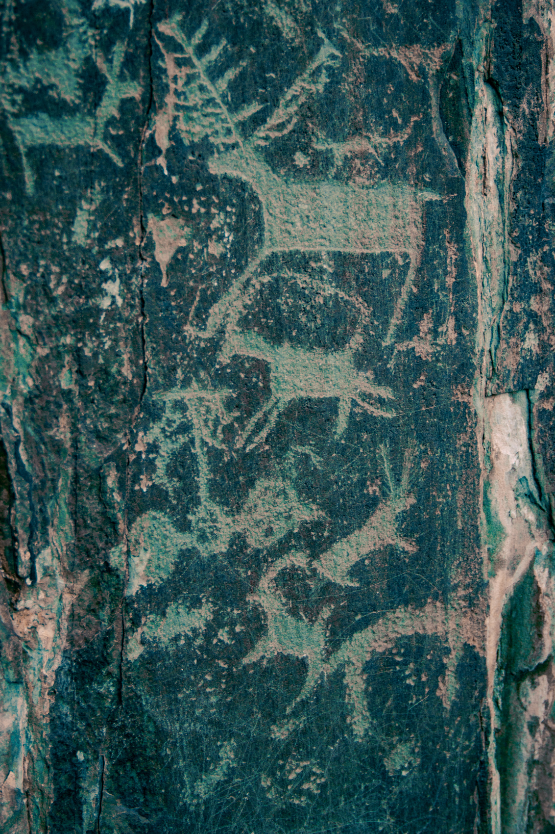 Кругосветка По Алтаю - 10 дней! 2026 Шаман-Кайчи, Телецкое, Чемал, травница! (31/94)