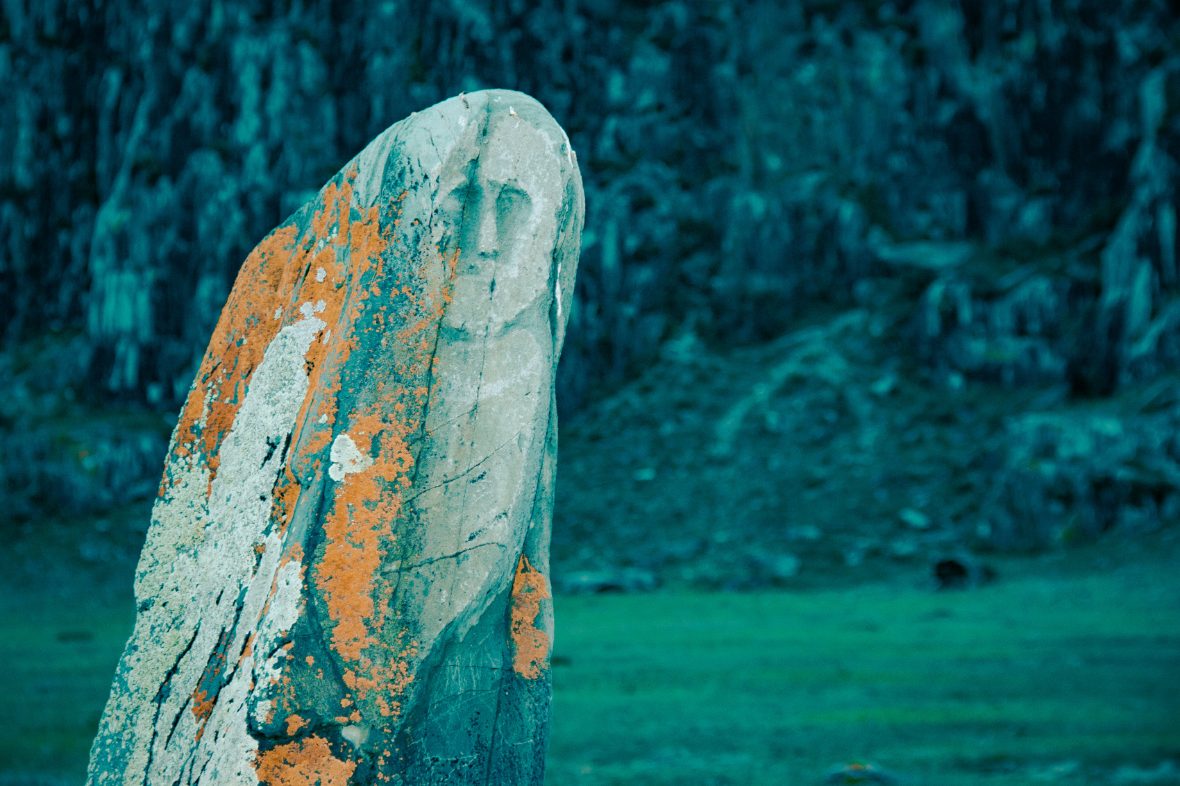 Кругосветка По Алтаю - 10 дней! 2026 Шаман-Кайчи, Телецкое, Чемал, травница! (15/94)