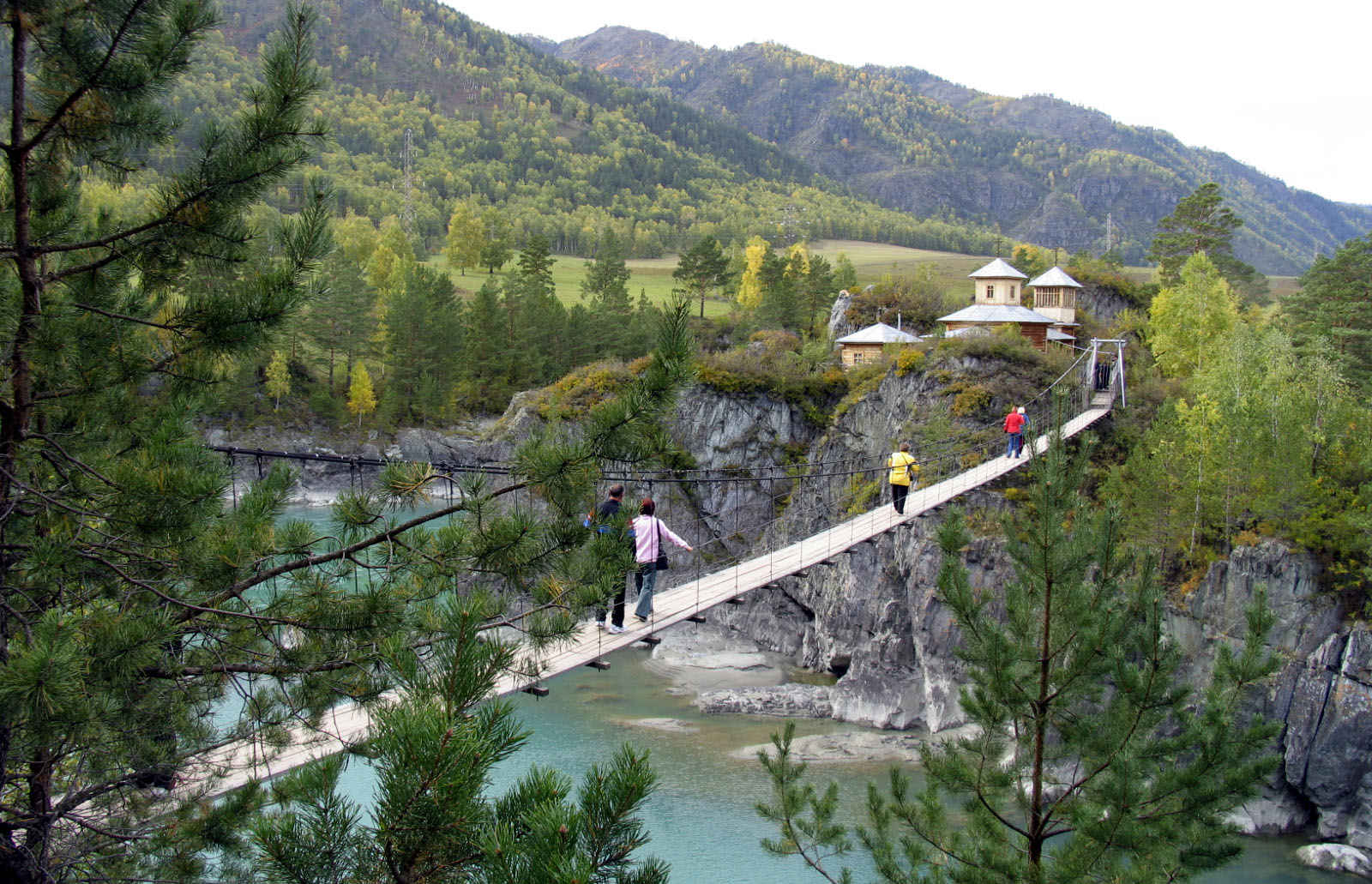 Кругосветка По Алтаю - 10 дней! 2026 Шаман-Кайчи, Телецкое, Чемал, травница! (45/94)