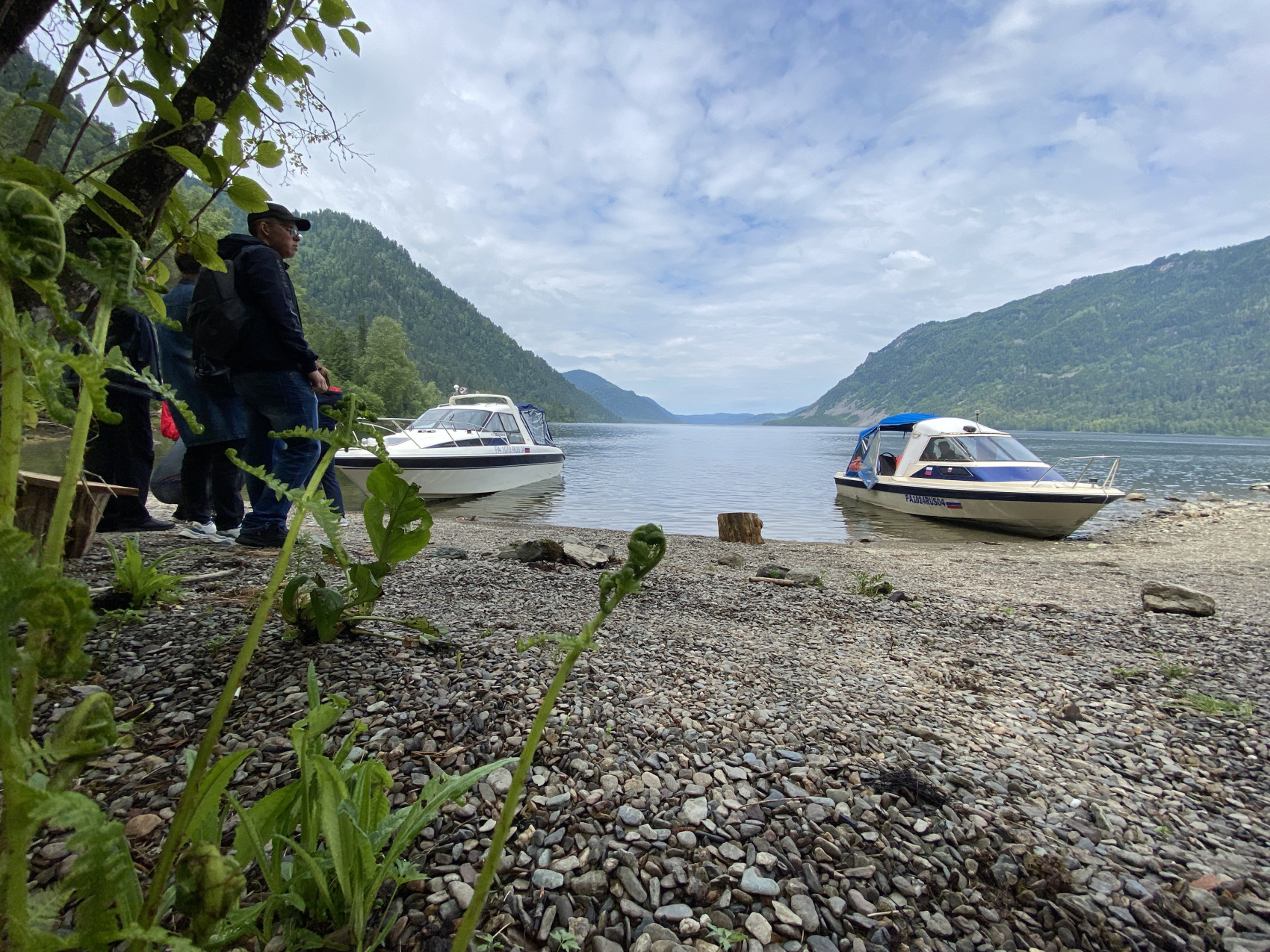 Кругосветка По Алтаю - 10 дней! 2026 Шаман-Кайчи, Телецкое, Чемал, травница! (64/94)